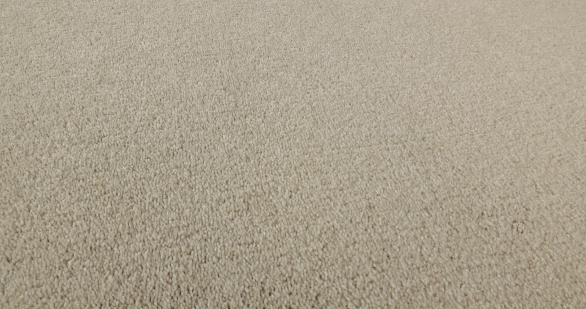 CHALLENGE ACCEPTED I 12' CREAMY TINT 360PROD