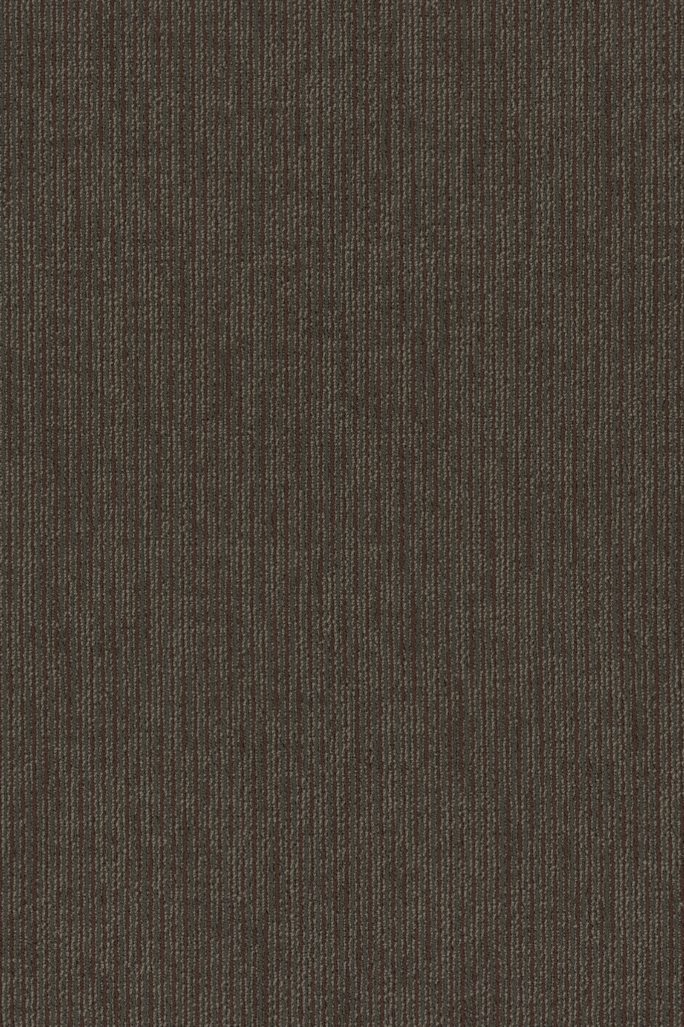 FUNCTION-54908-ENTREPRENEUR-00705-main-image