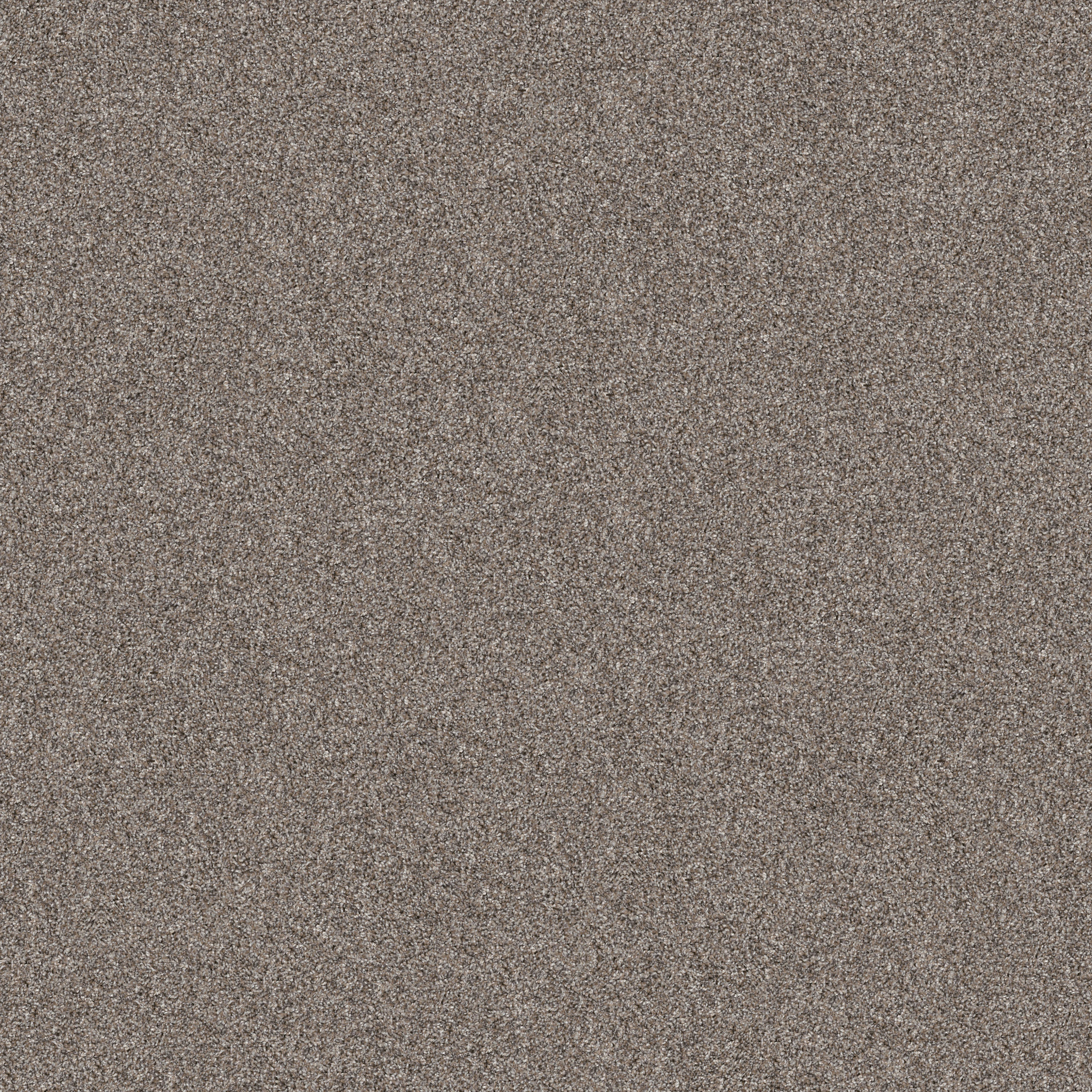 YES YOU CAN III 15' CHIC GREIGE MAIN