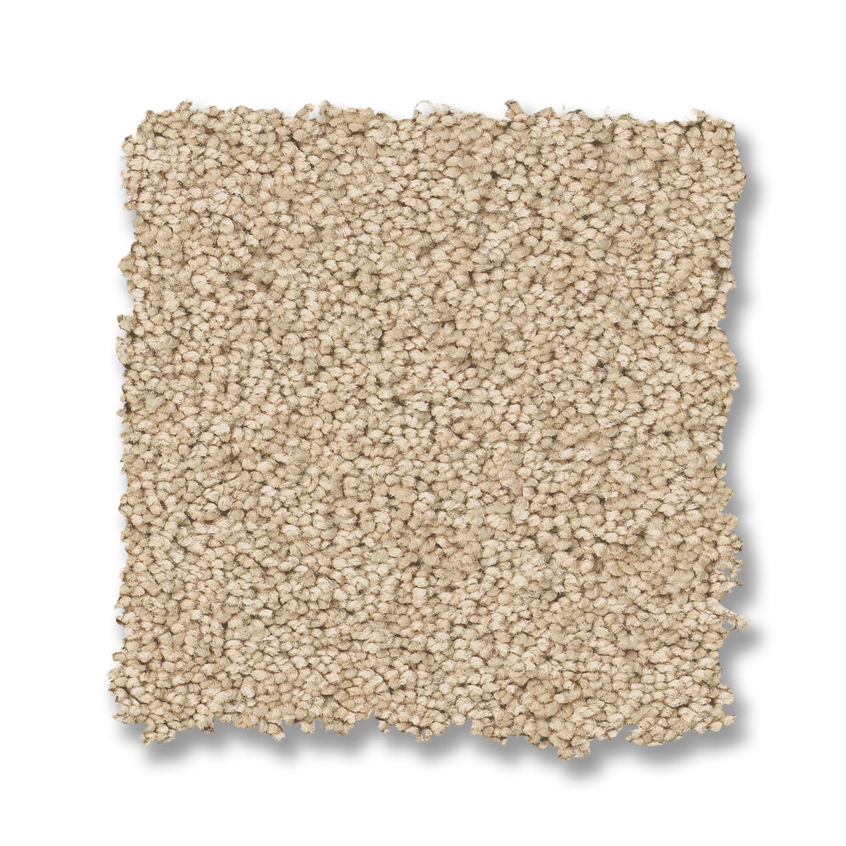 ENCHANTING PAPYRUS SWATCH