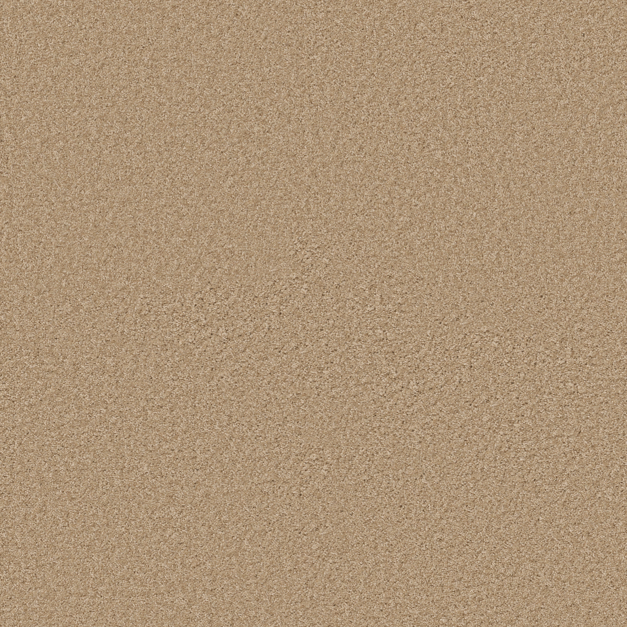 OCEAN PINES 12' LIGHT ASPIRATIO MAIN