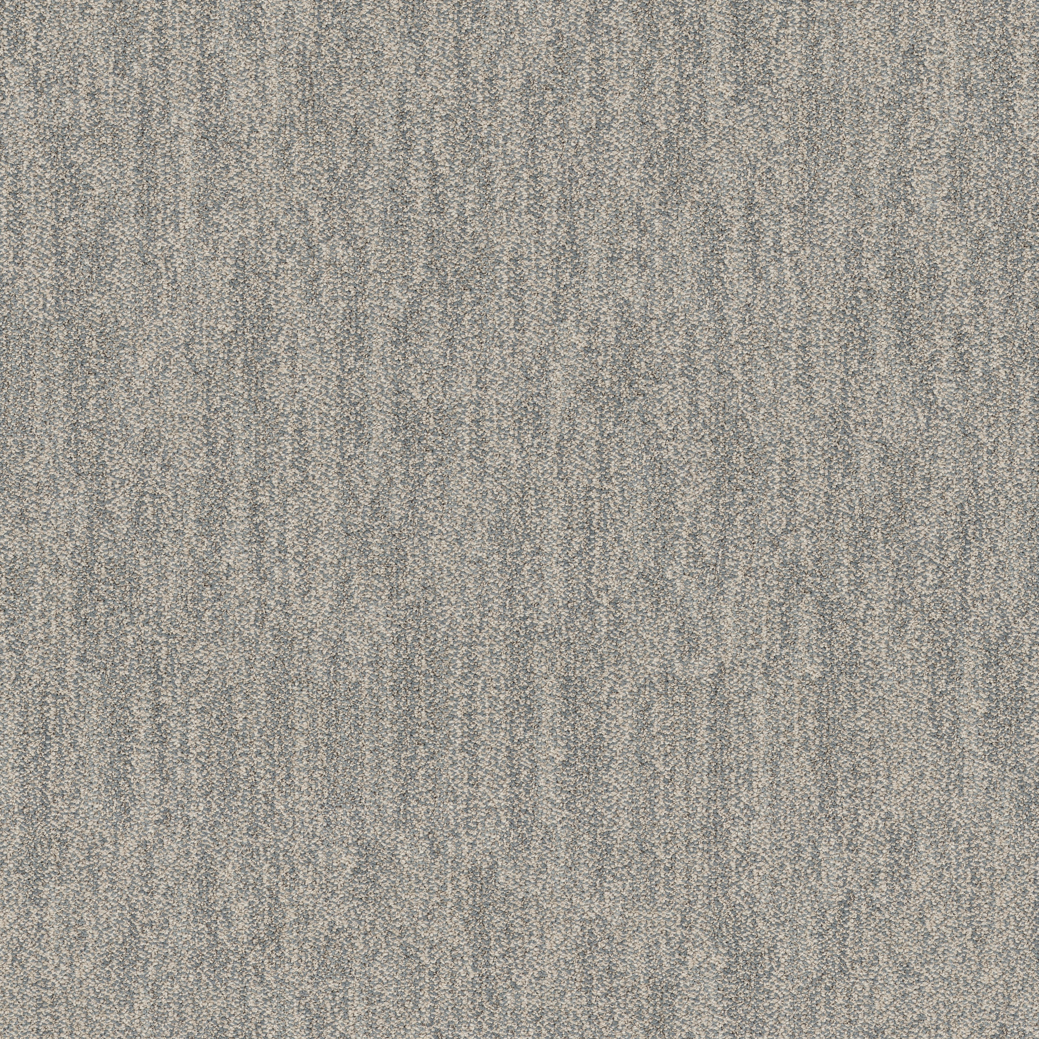 IN TEMPO COASTAL MAIN