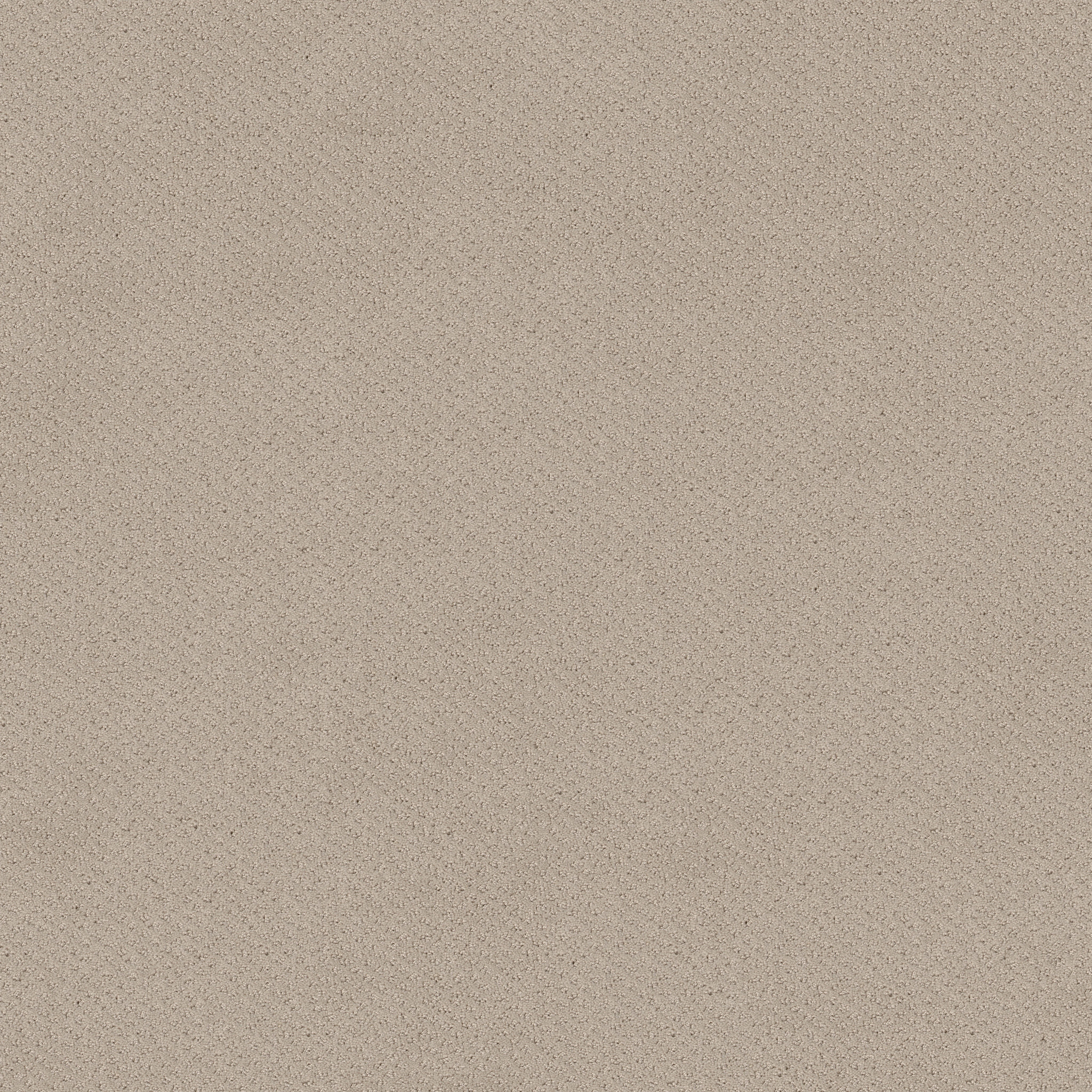 MAINSTAY BUTTER CREAM MAIN