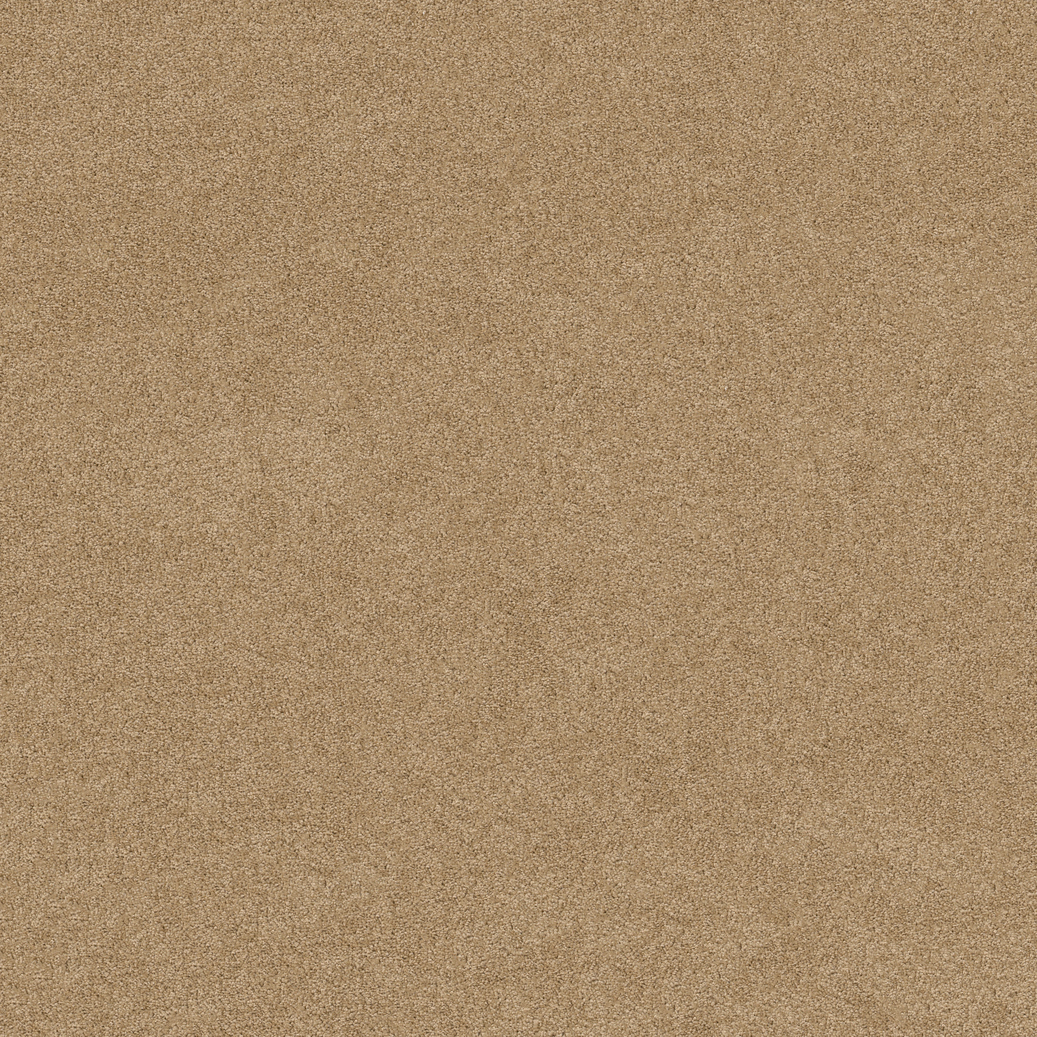 HARLEY STREET I CHAMOIS MAIN