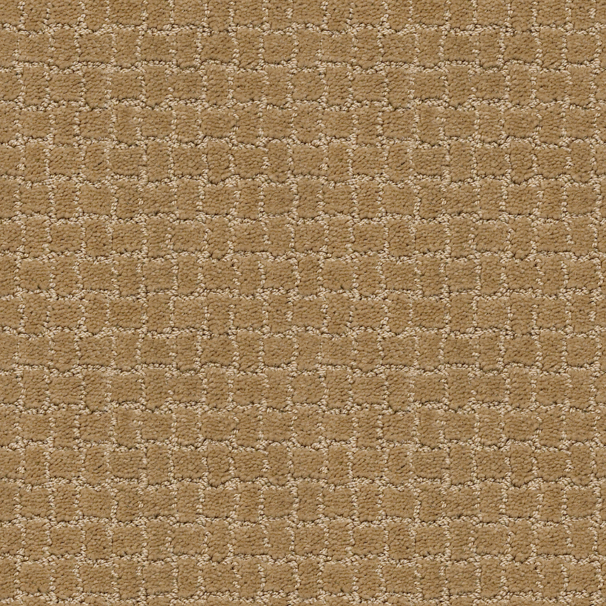 PAWSTRUCK GOLDEN STRAW MAIN