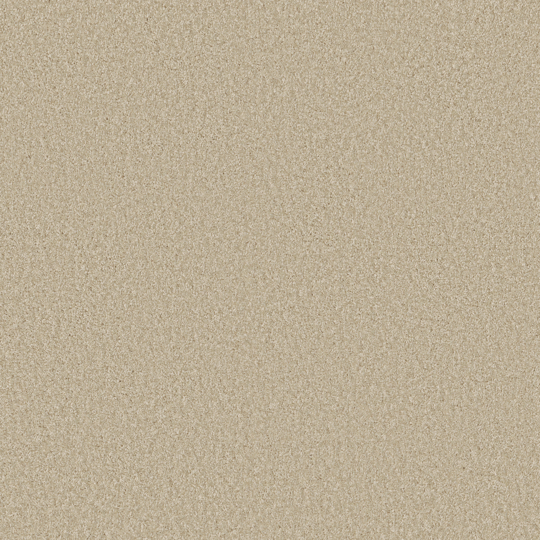 PREMIER ROLE IVORY MAIN