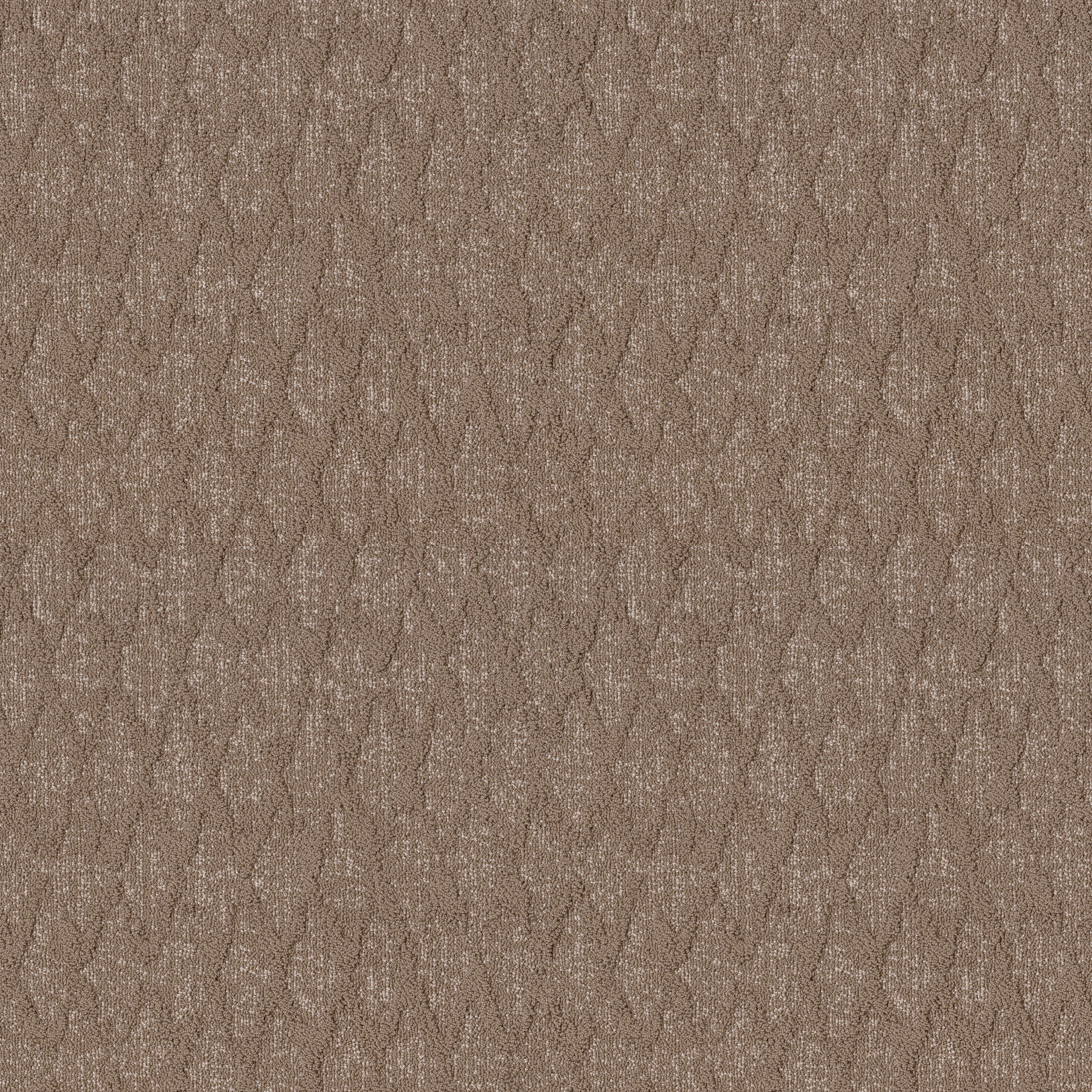 ILLUMINATION BUNGALOW MAIN