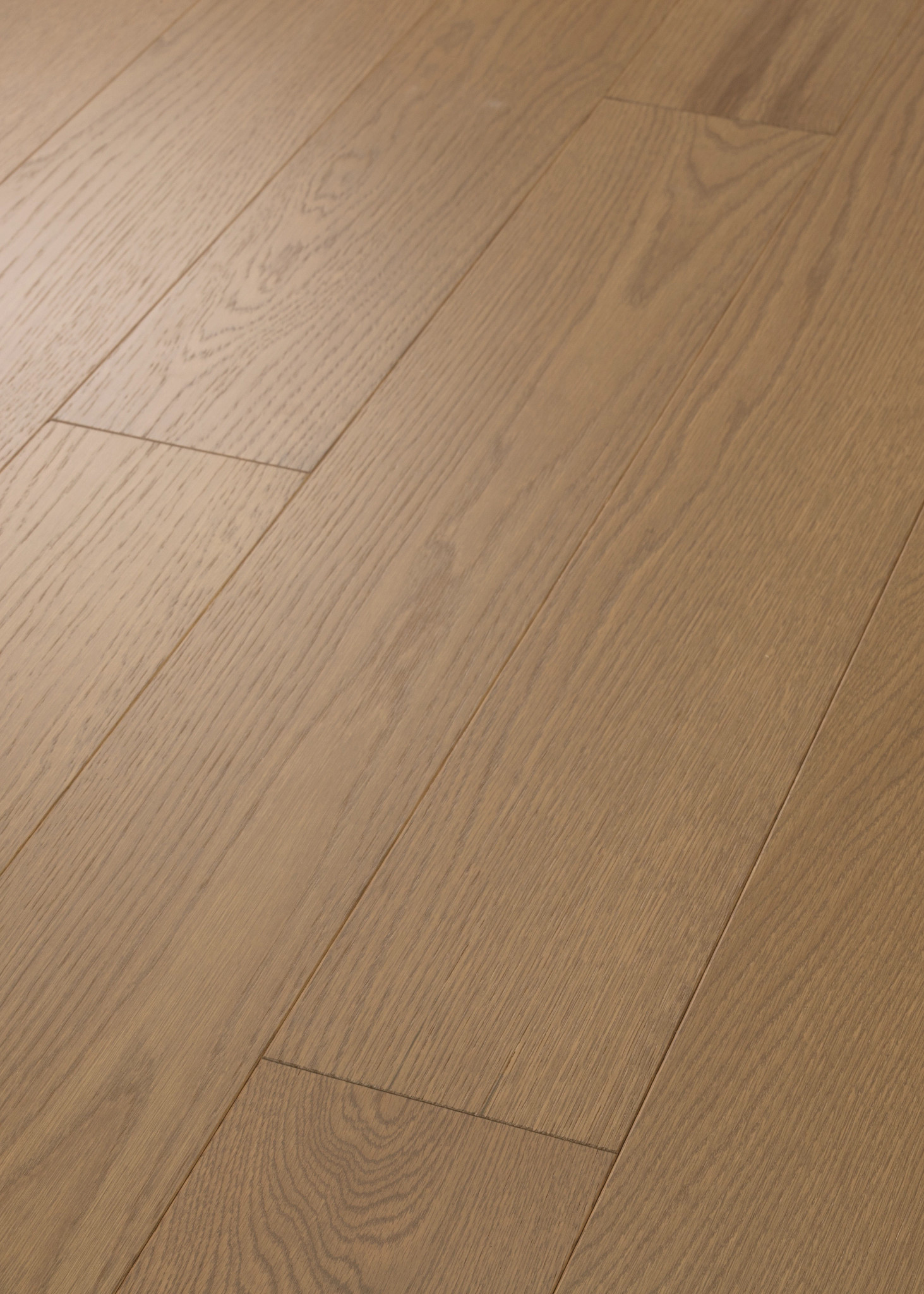 LIBERTY OAK LEGACY ANGLED