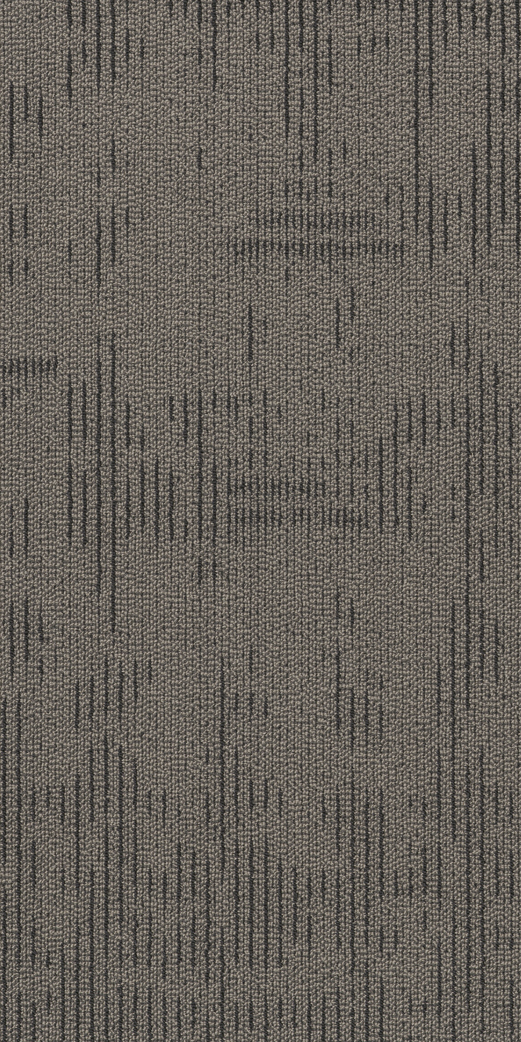 CURIOUS-WONDER-54940-INQUISITIVE-40510-main-image