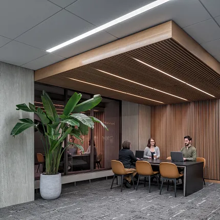 Contemporary Workplace with Commercial Carpet Tile Flooring and Meeting Area Design Modern workplace setting with commercial carpet tile flooring, featuring a group of professionals in a meeting area with wooden slat ceiling and large potted plant