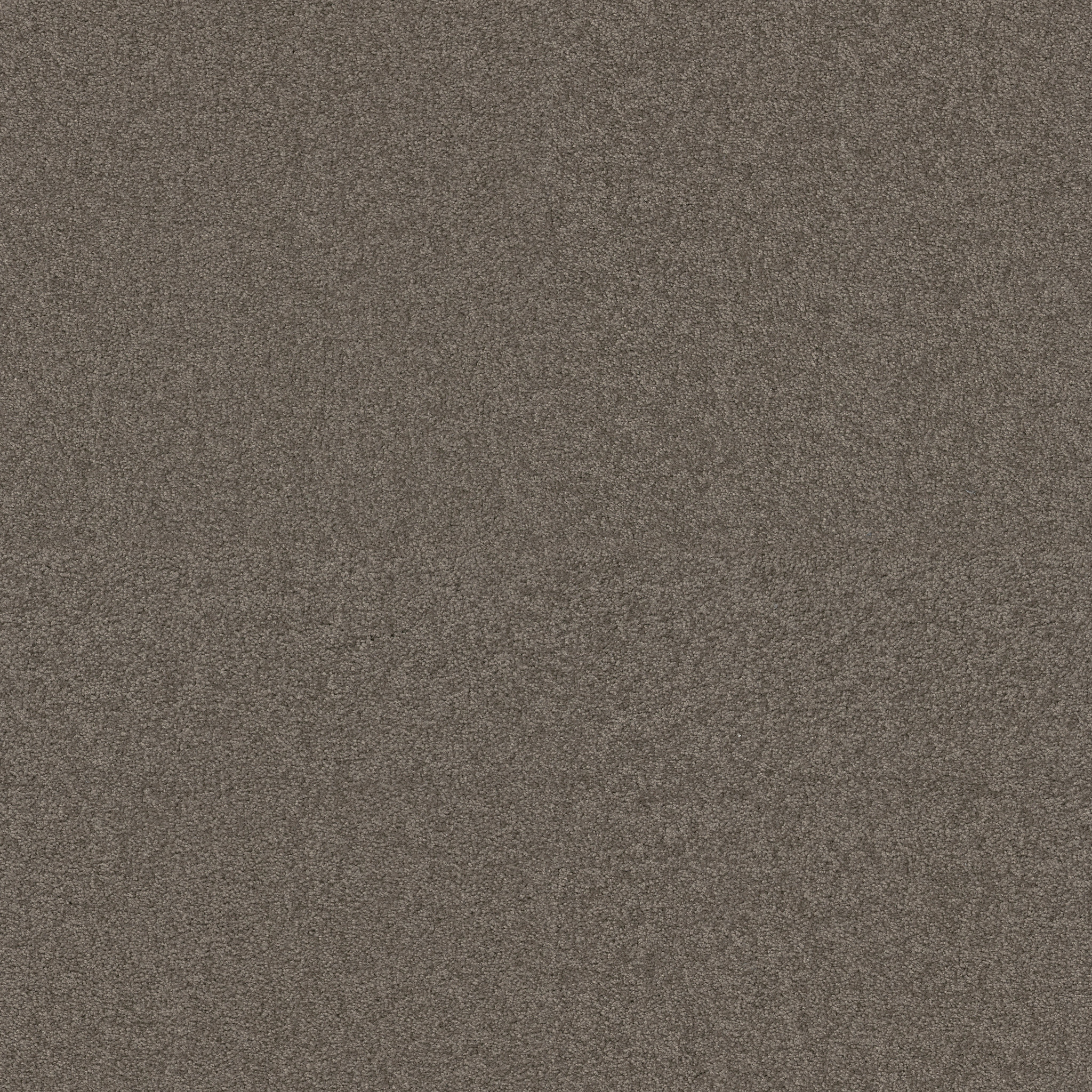 SWEET LIFE RUSTIC TAUPE MAIN