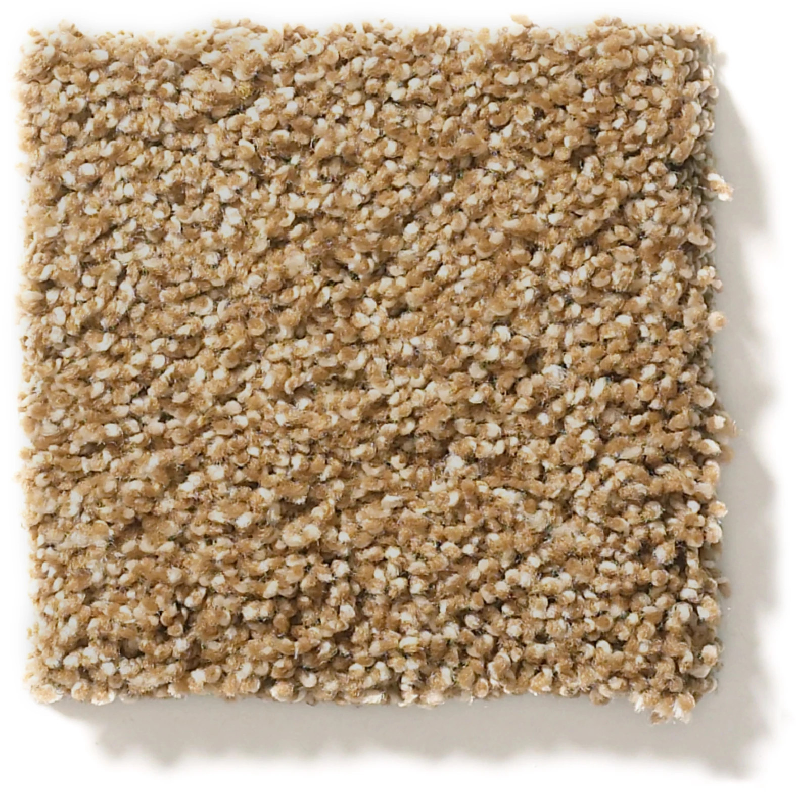 OCEAN VIEW SADDLE SWATCH