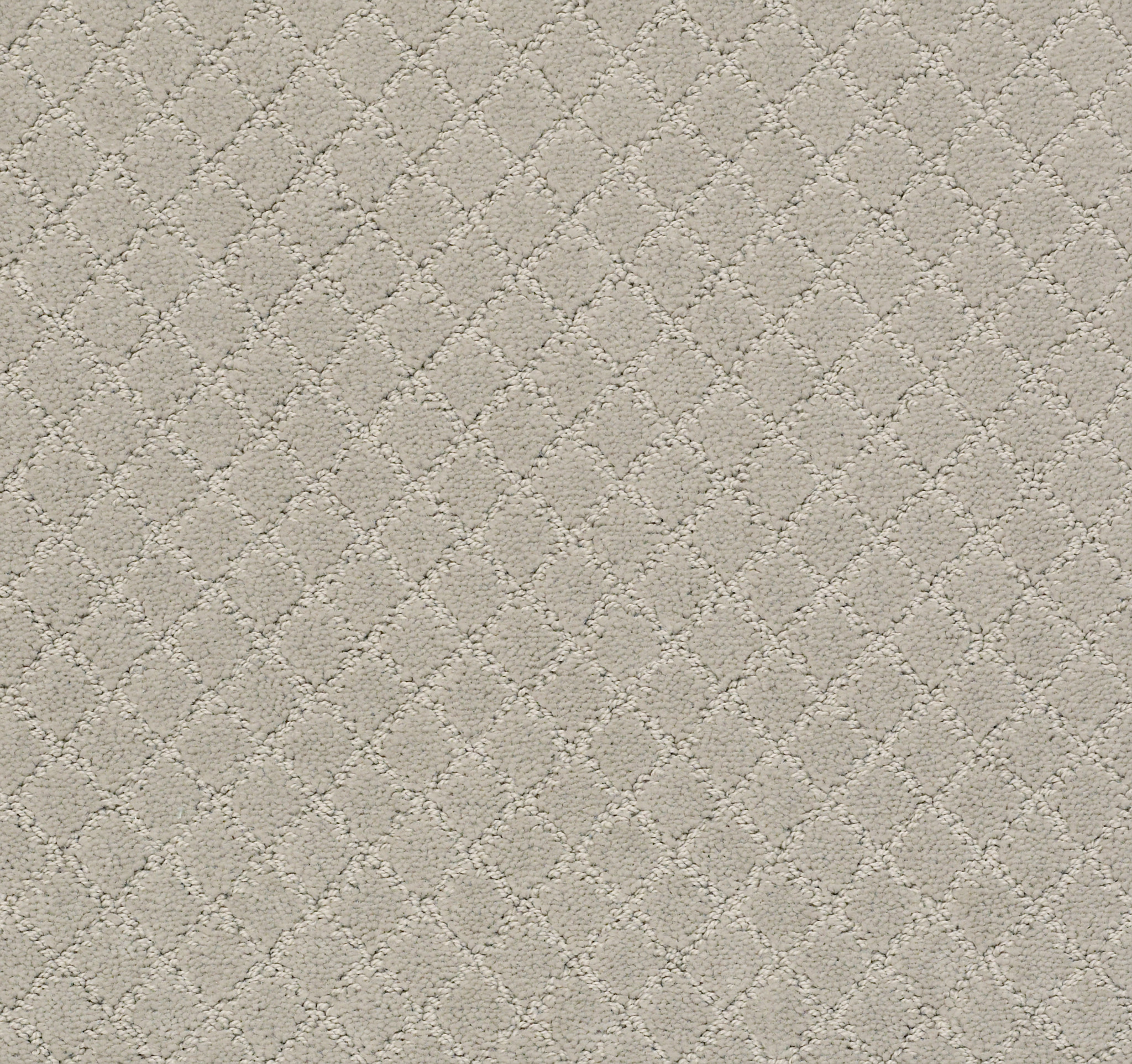 PAWNACHE SILVER FOX MAIN