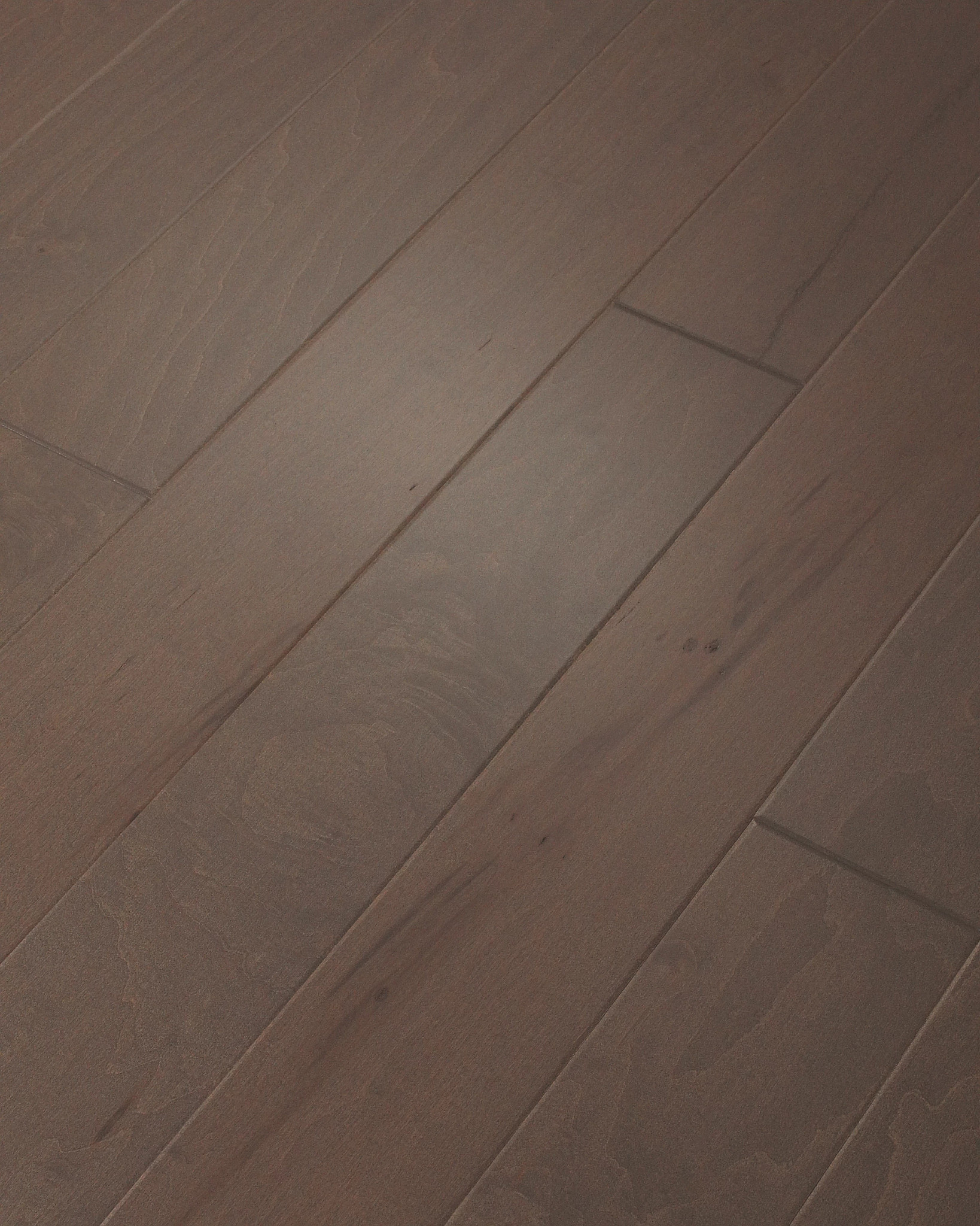 OCALA WINDSURF ANGLED