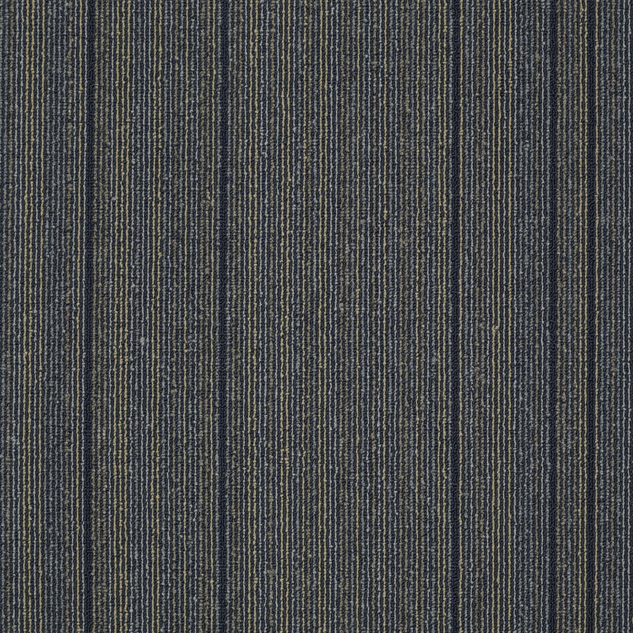 WIRED-54492-JOLTED-92495-main-image