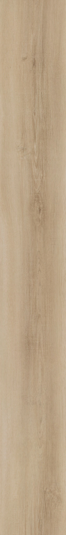 IVORY LACE PECAN 1TO1