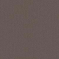 COLOR ACCENTS 54462 TAUPE 62760 main image