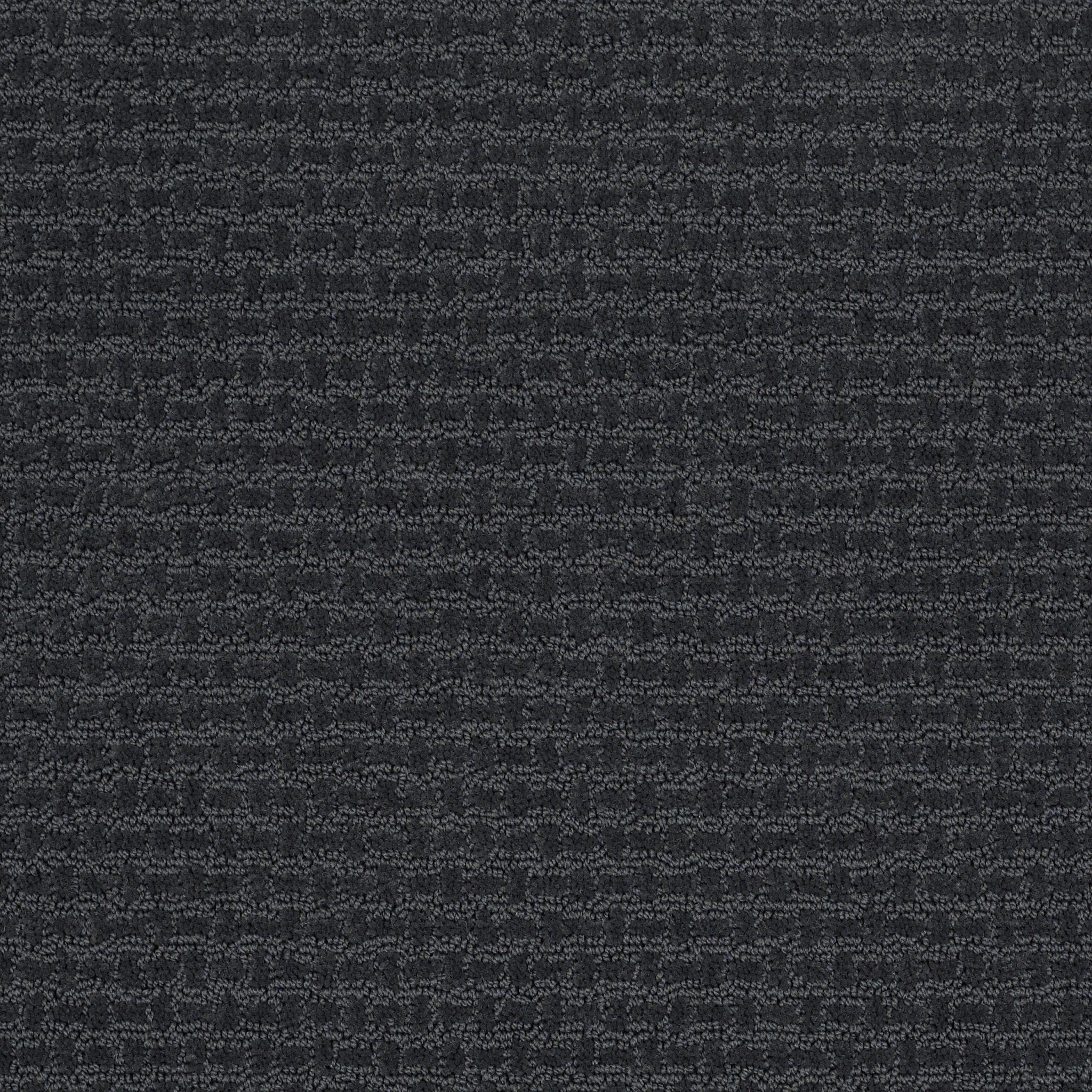 FAST LANE INDIGO MAIN