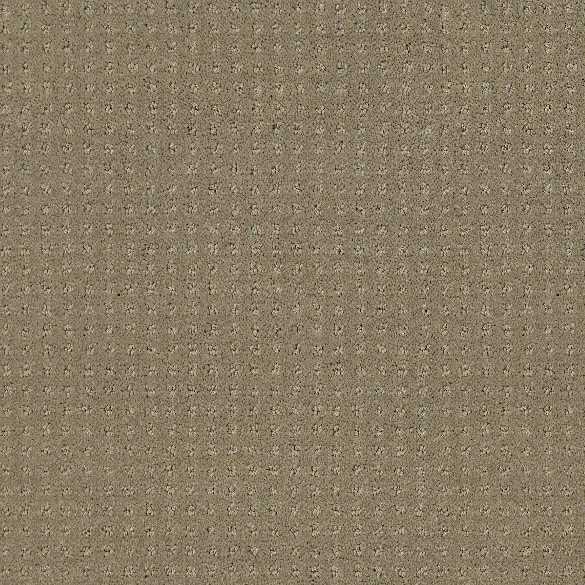 ALLURING DISPOSITION MOCHA MAIN