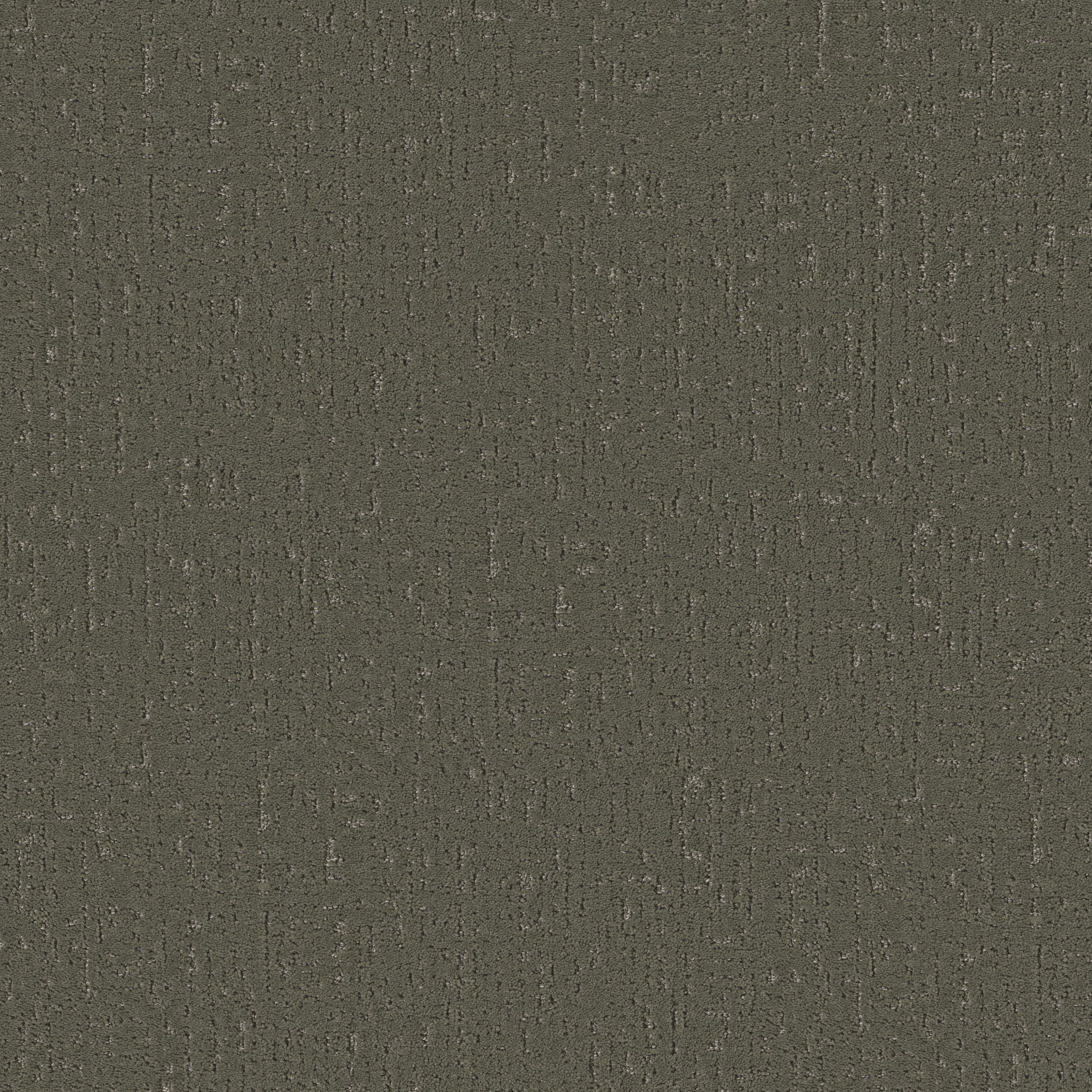 CURATED TONE BLUE OLIVE TREE MAIN