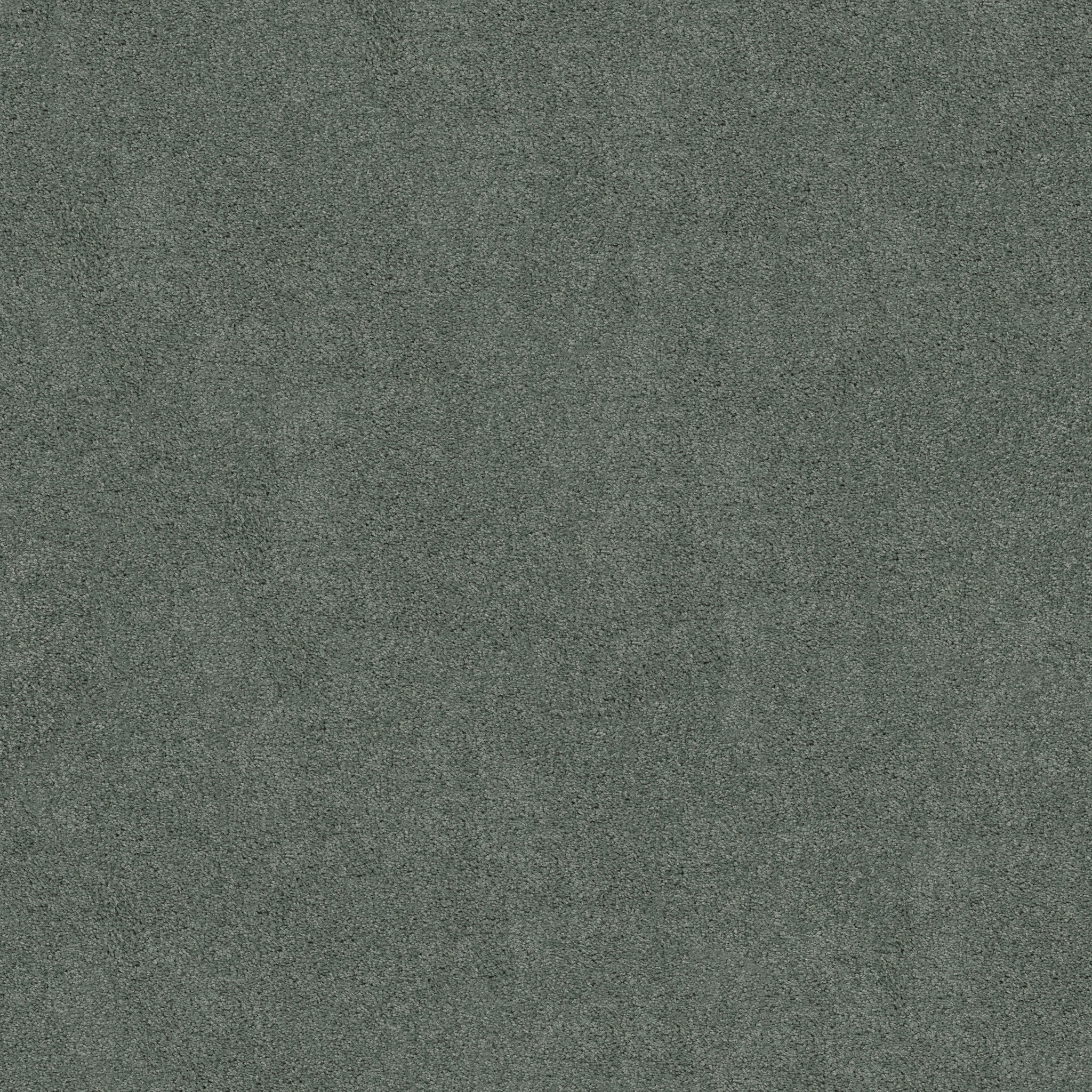 EMBARK REFRESHING MAIN