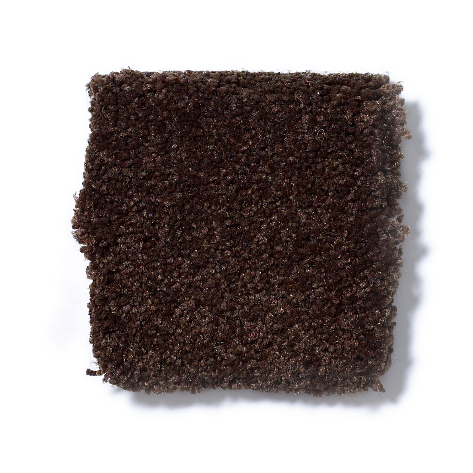 SHINGLE CREEK I 12 COFFEE BEAN SWATCH