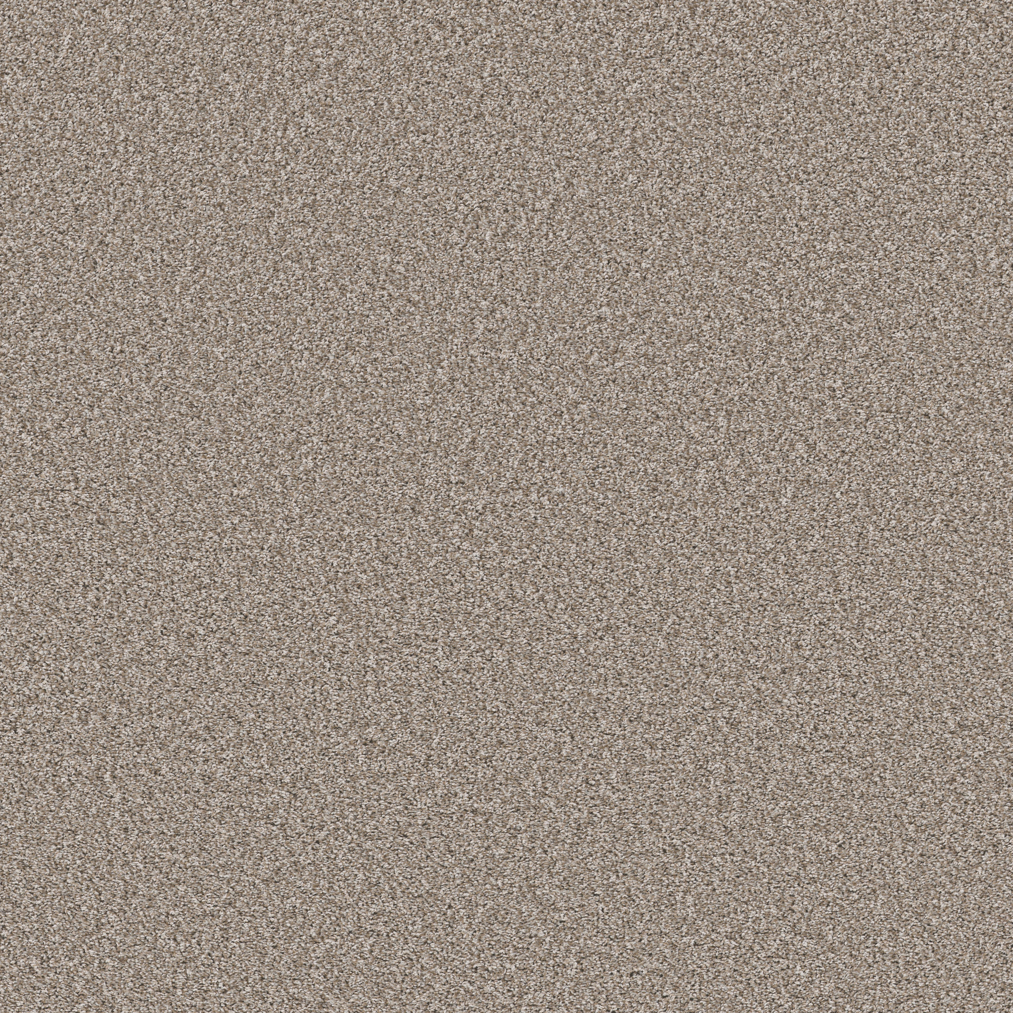 SOFT RADIANCE DAYTONA SAND MAIN