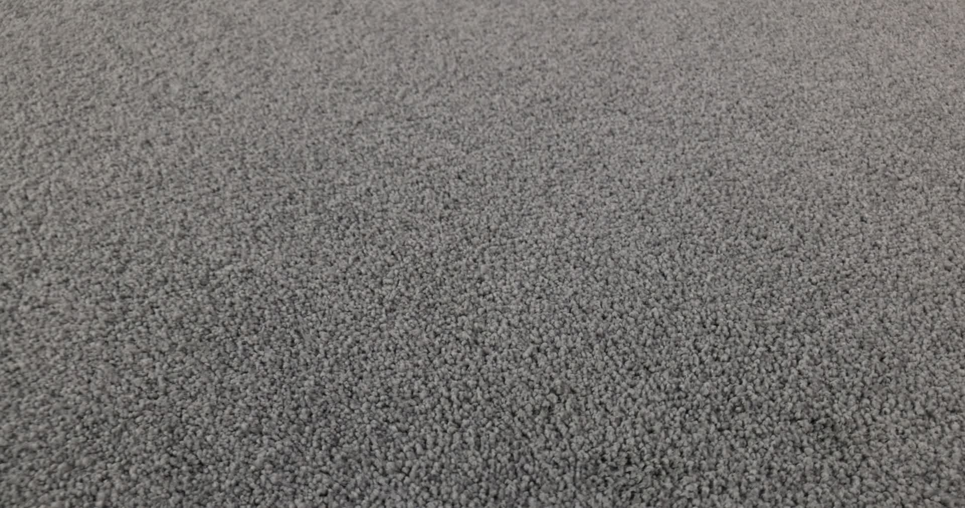 YOUR COMFORT I DOLPHIN SIGHTING 360PROD