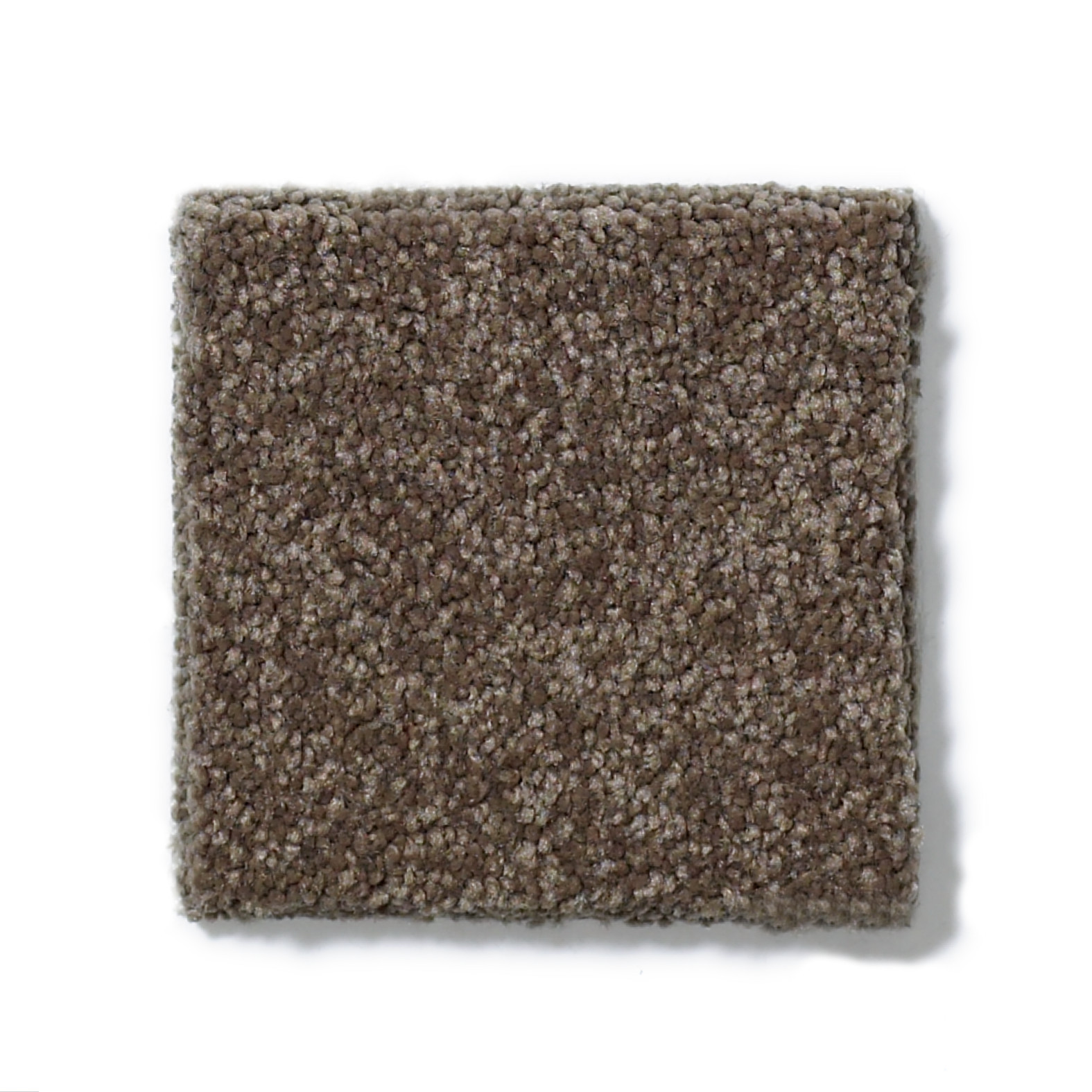 SHINGLE CREEK I 15 CASTLE ROCK SWATCH