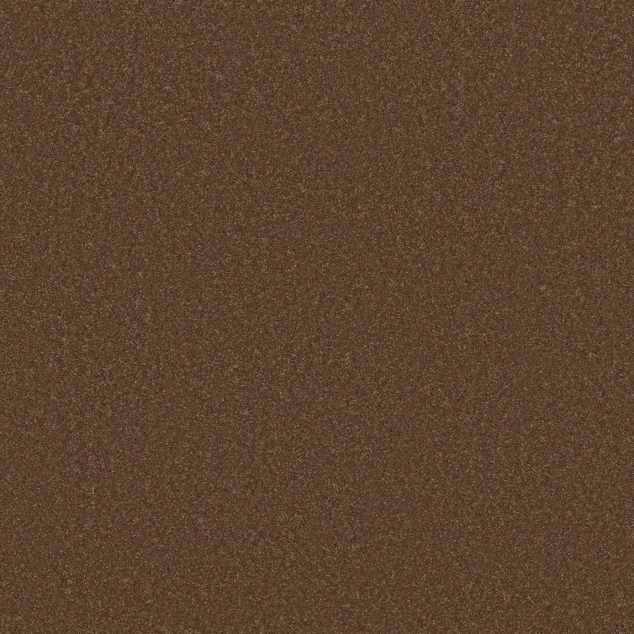 ENCHANTING BRONCO MAIN