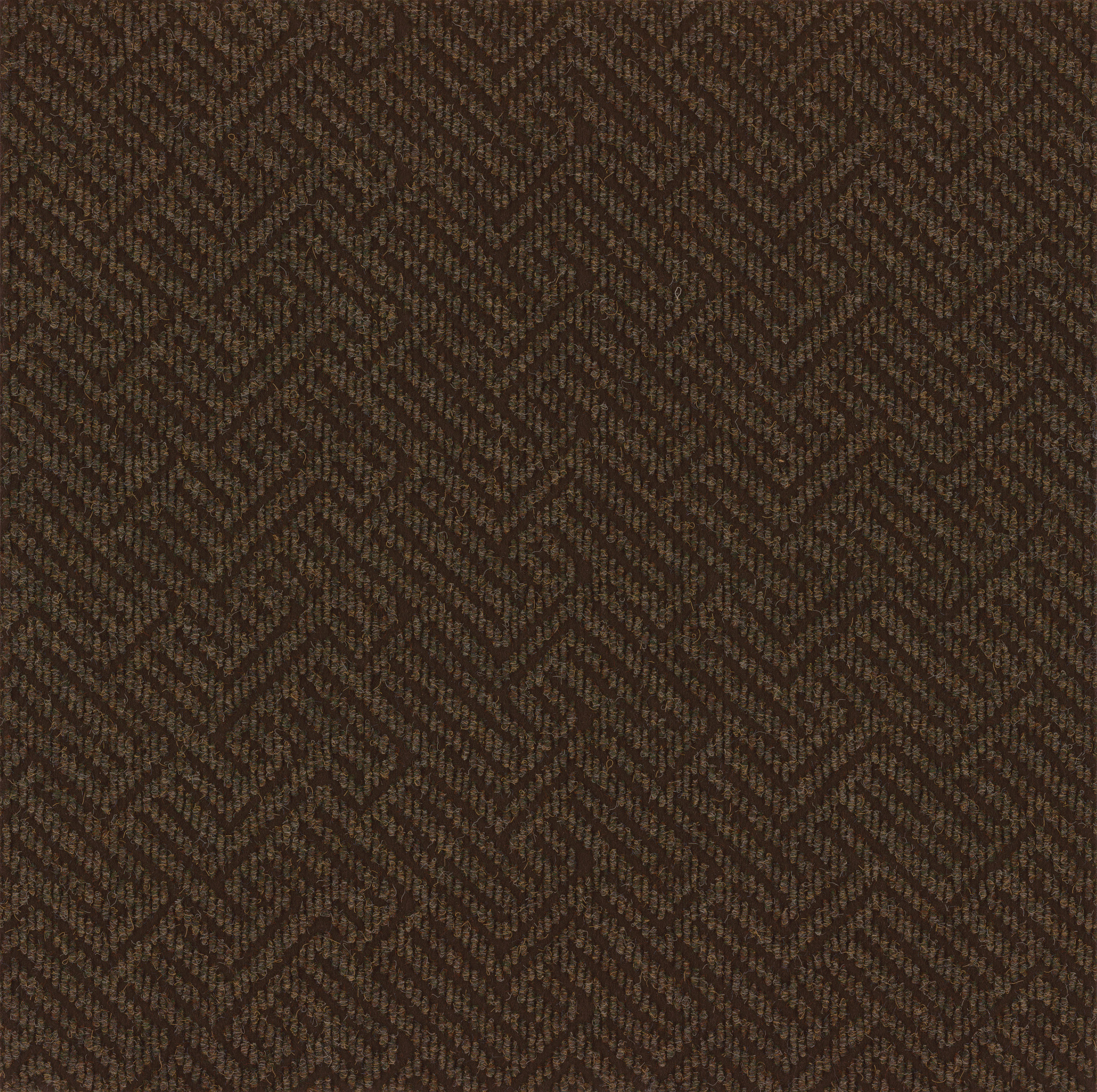 TREAD-ON-ME-54749-GARDEN-FLOOR-00300-main-image