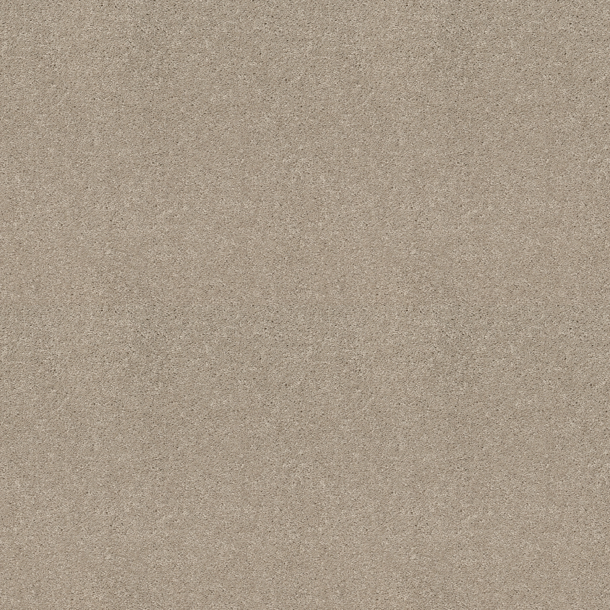 BEAUTIFULLY SIMPLE I 12 ECRU MAIN