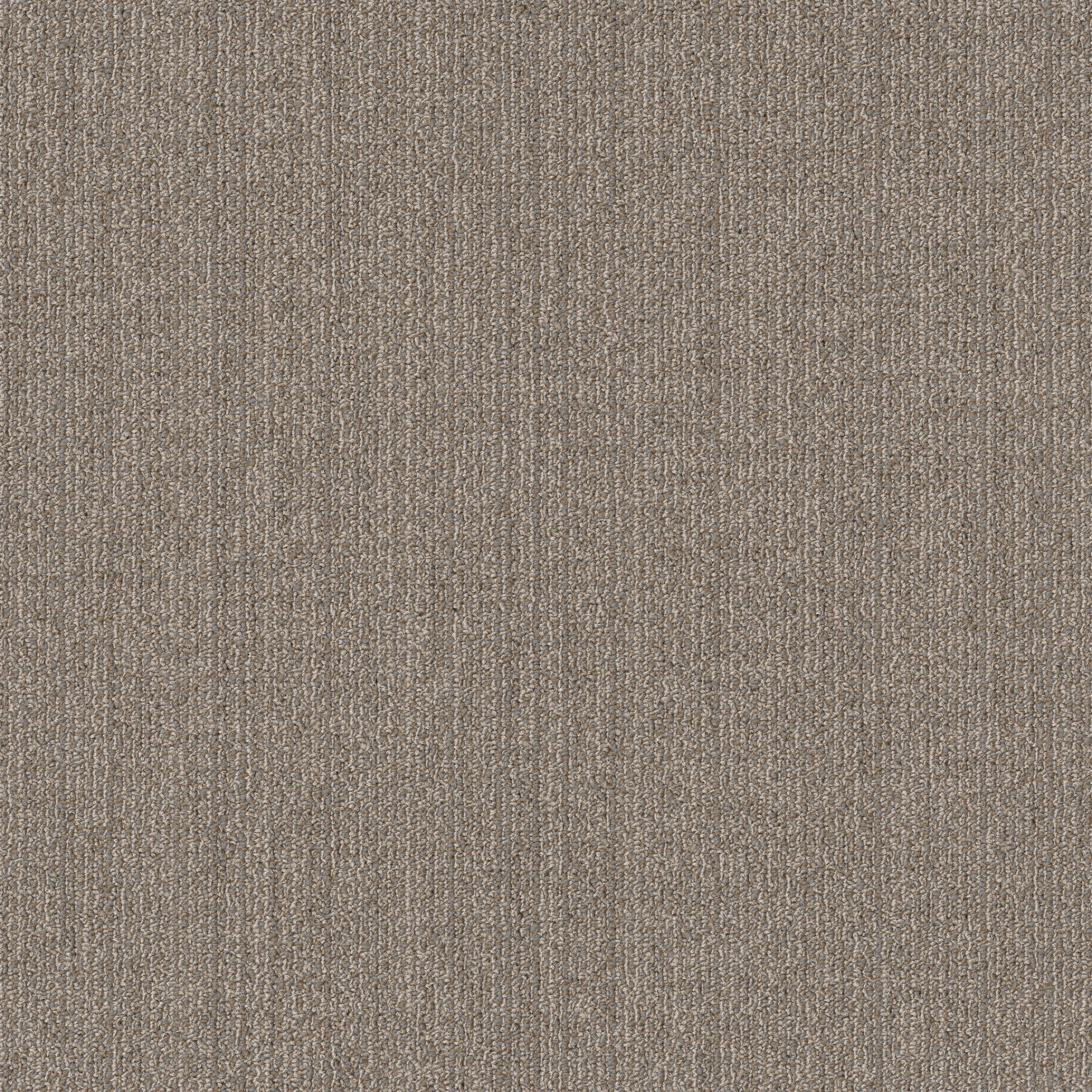 MUTED-RHYTHMS-TL-55013-CHIFFON-00200-main-image