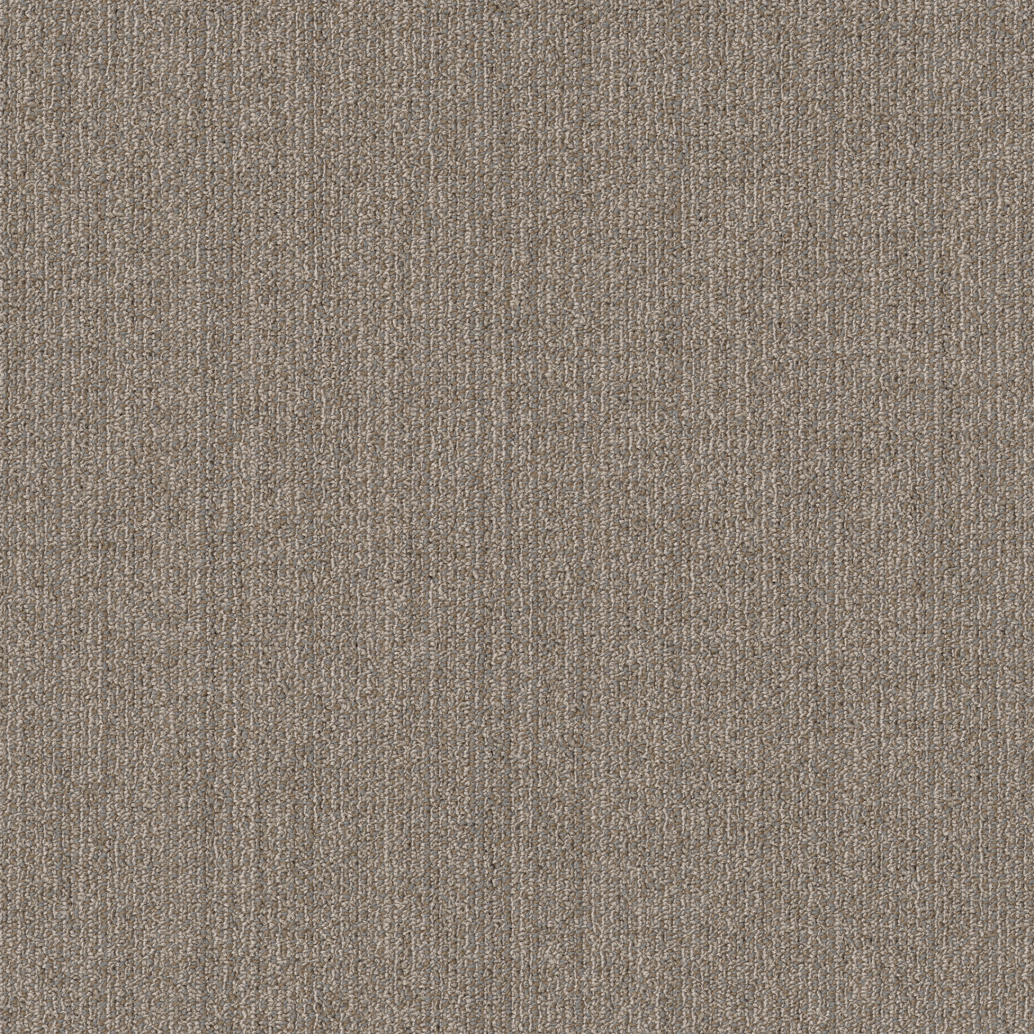 MUTED-RHYTHMS-TL-55013-CHIFFON-00200-main-image