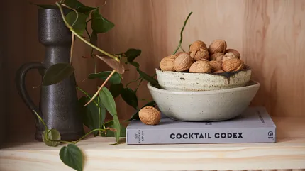 bookshelf decor bookshelf with book and bowl of walnuts and plants hanging