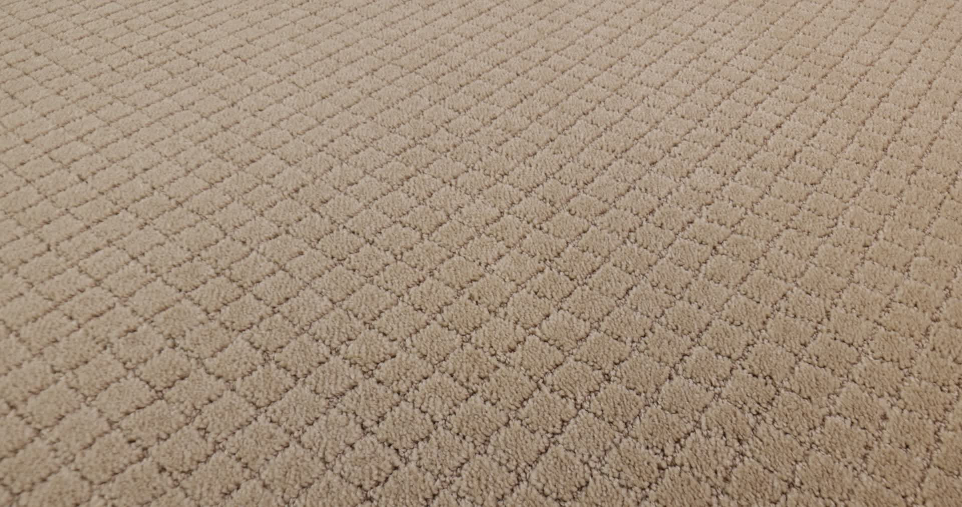 PAWNACHE HAZELNUT 360PROD