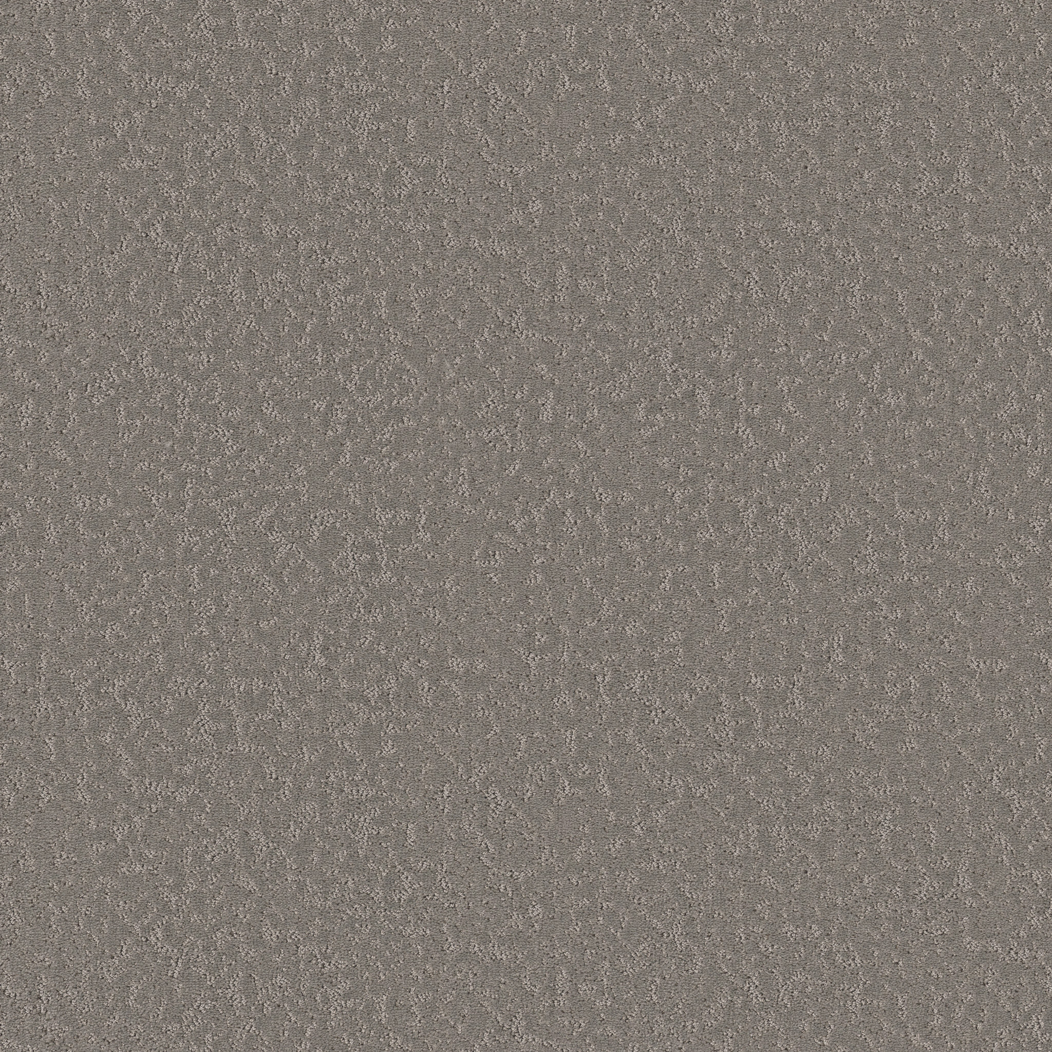 CLEVER CHOICE LUNAR HAZE MAIN