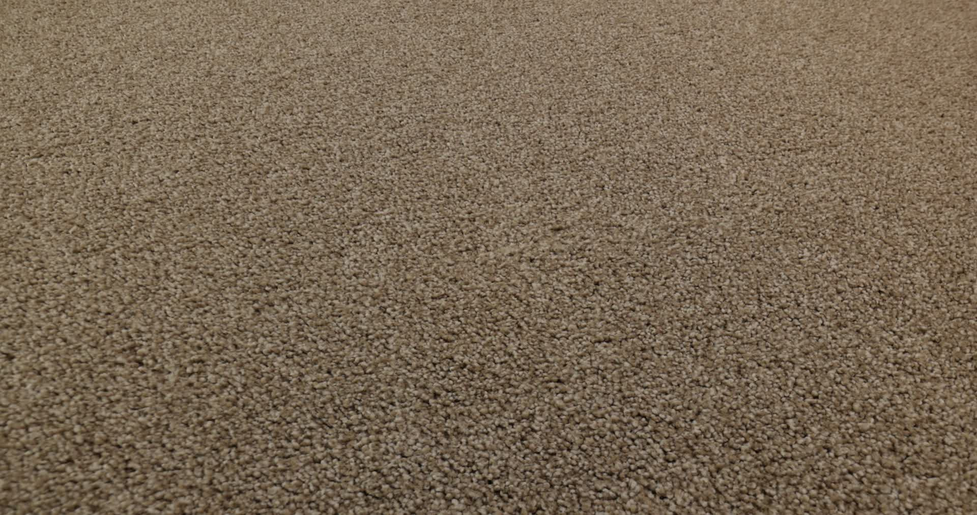 FANTASTICAL MOLE HILL 360PROD