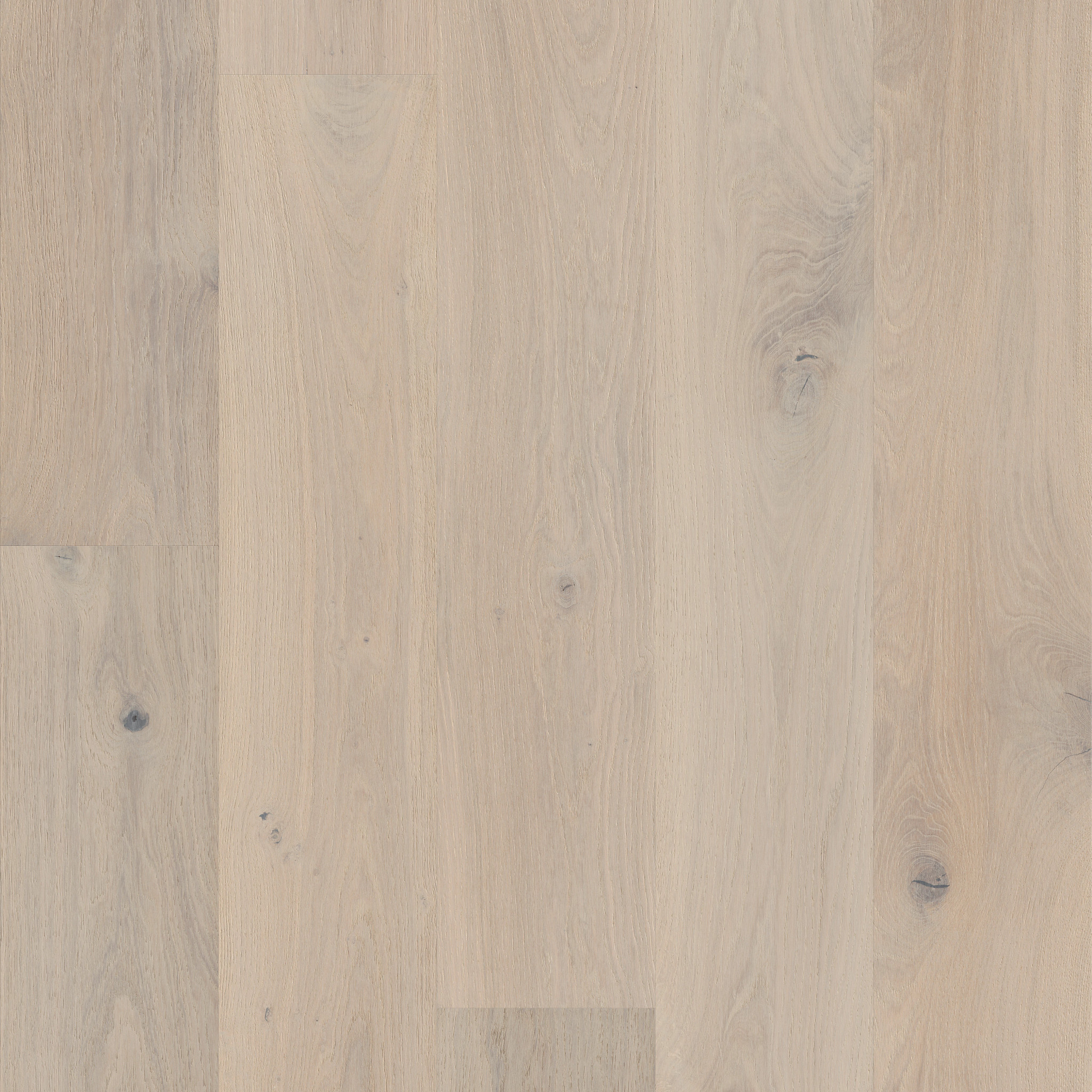 CHATEAU OAK GABLE MAIN