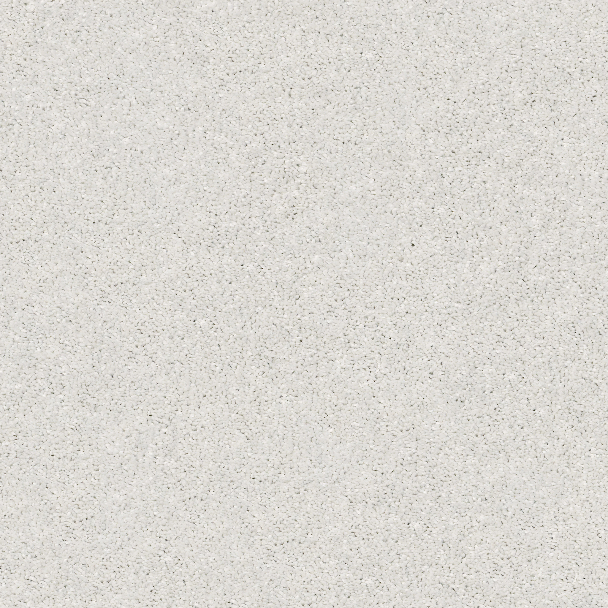 AFTER ALL I DOLPHIN MAIN