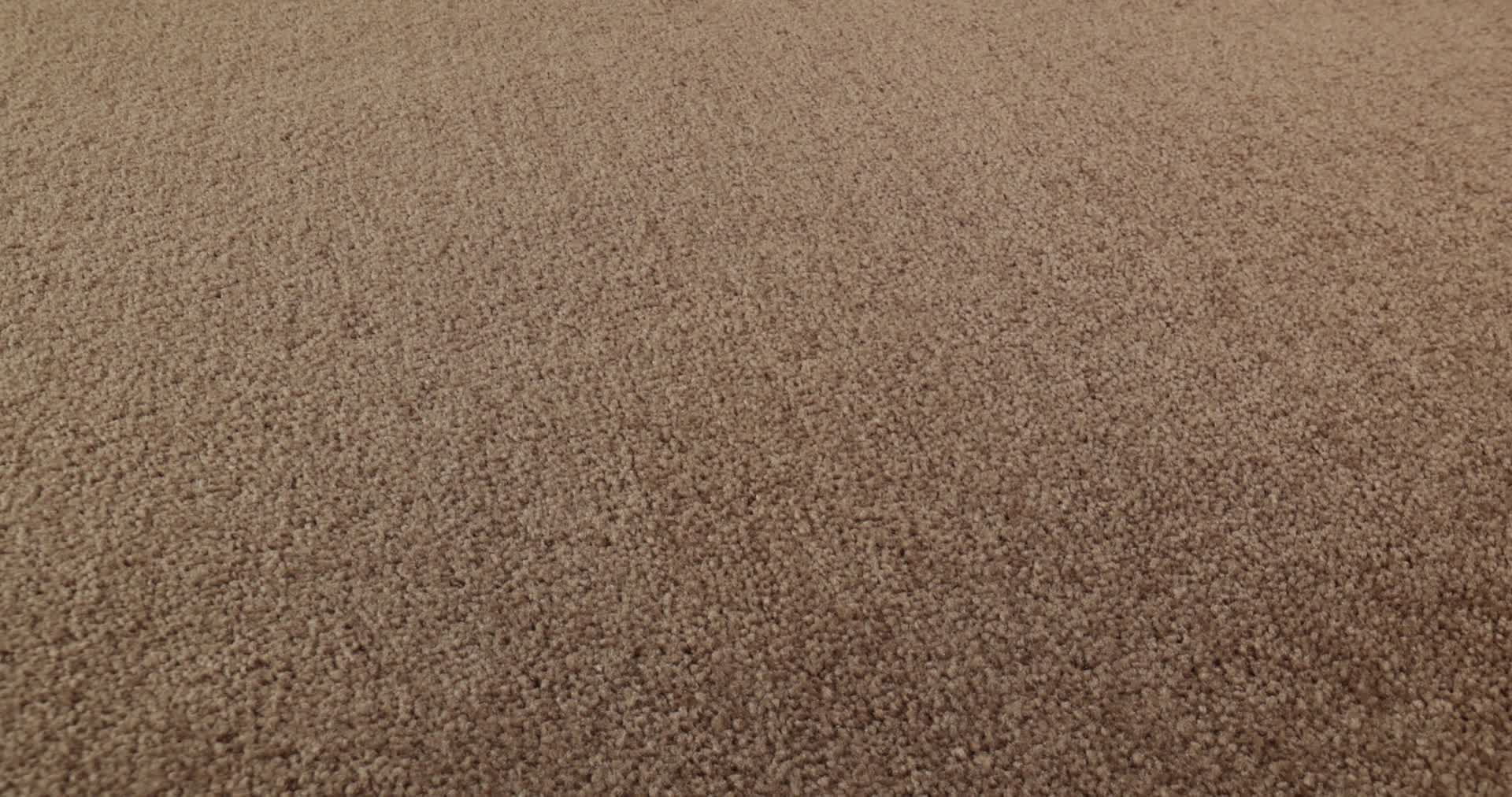 DYERSBURG II 15' WINTER WHEAT 360PROD