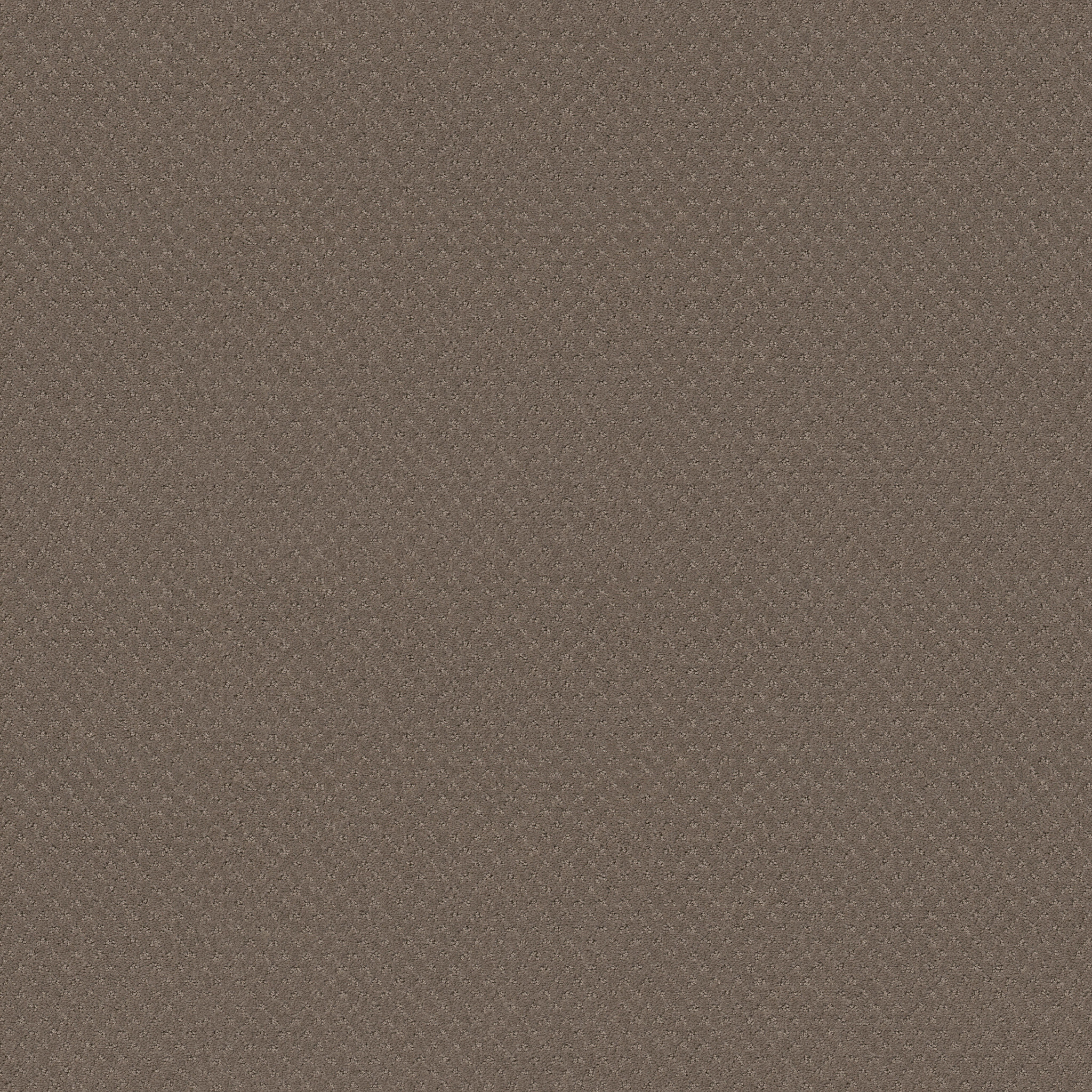 DEL VISTA SMOKESTACK MAIN