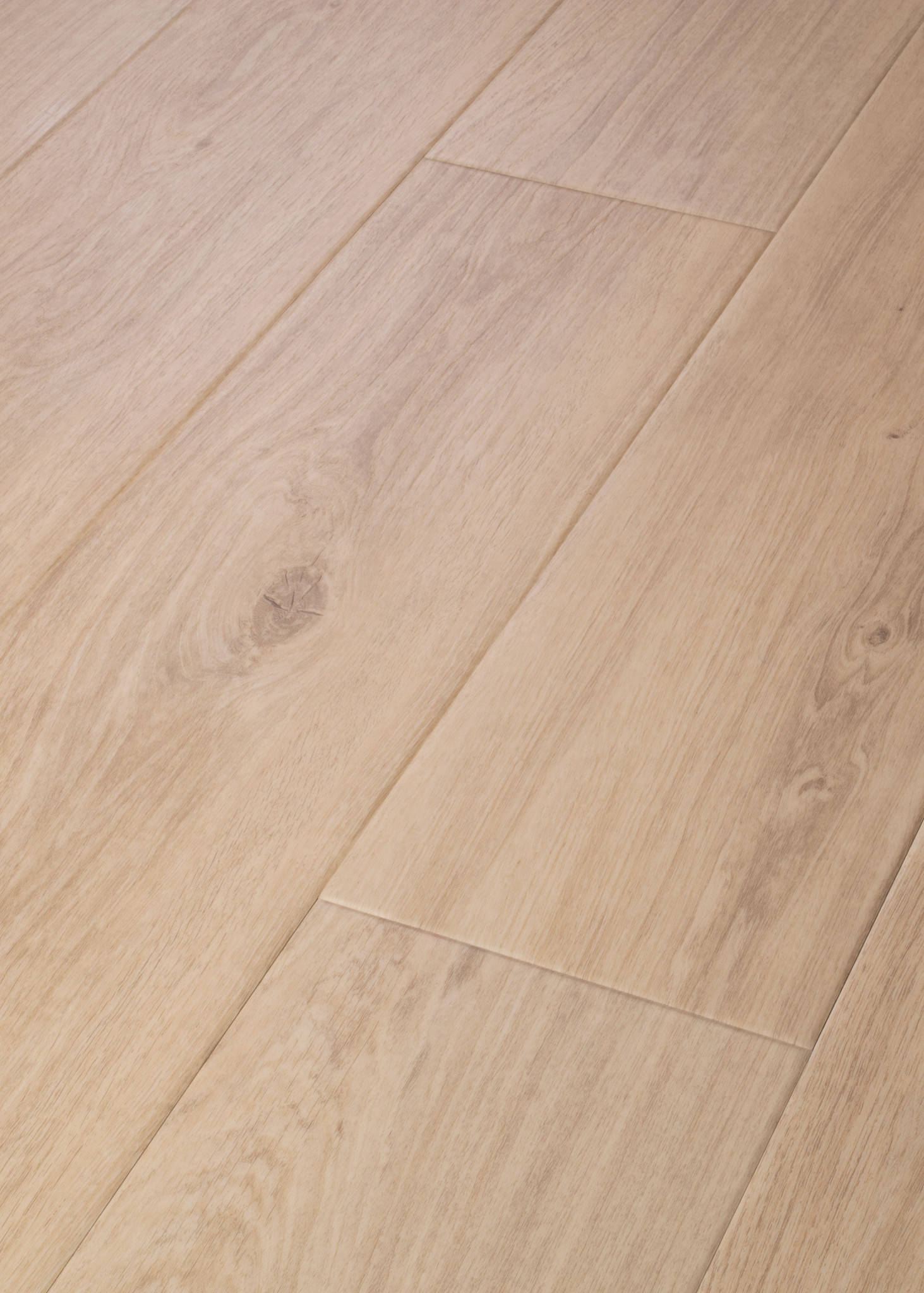 ASCENT NB WANDER ANGLED