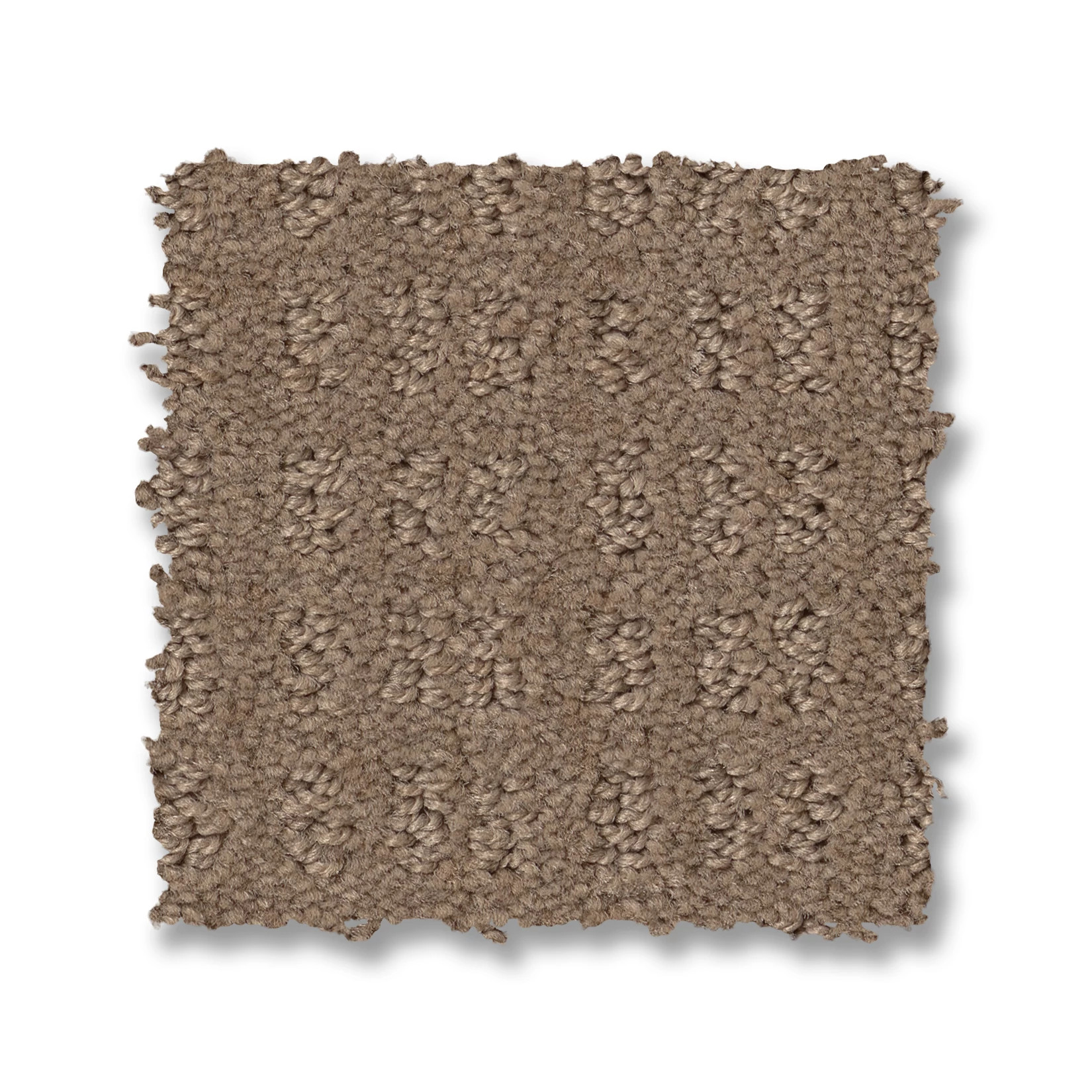 ESSENTIAL NOW RAW WOOD SWATCH