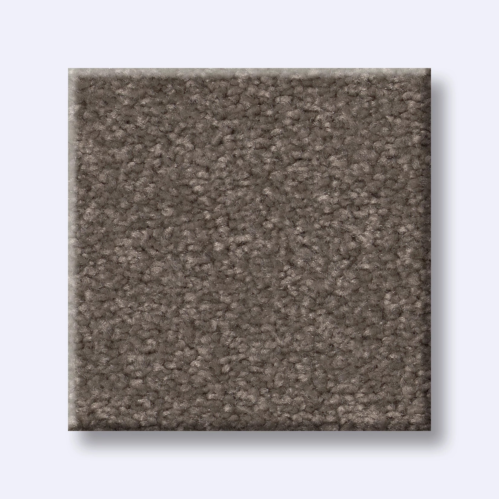 FANTASTICAL RUSTIC TAUPE SWATCH