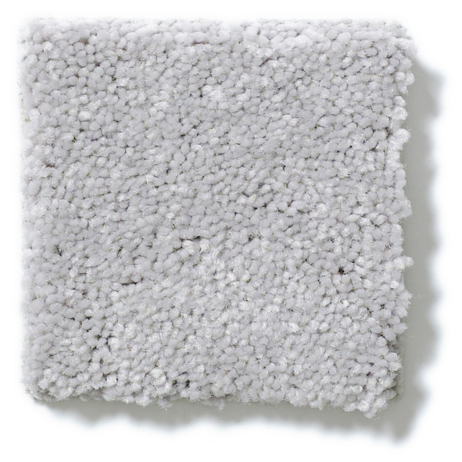 STEP RIGHT UP I 12' DOVE TAIL SWATCH