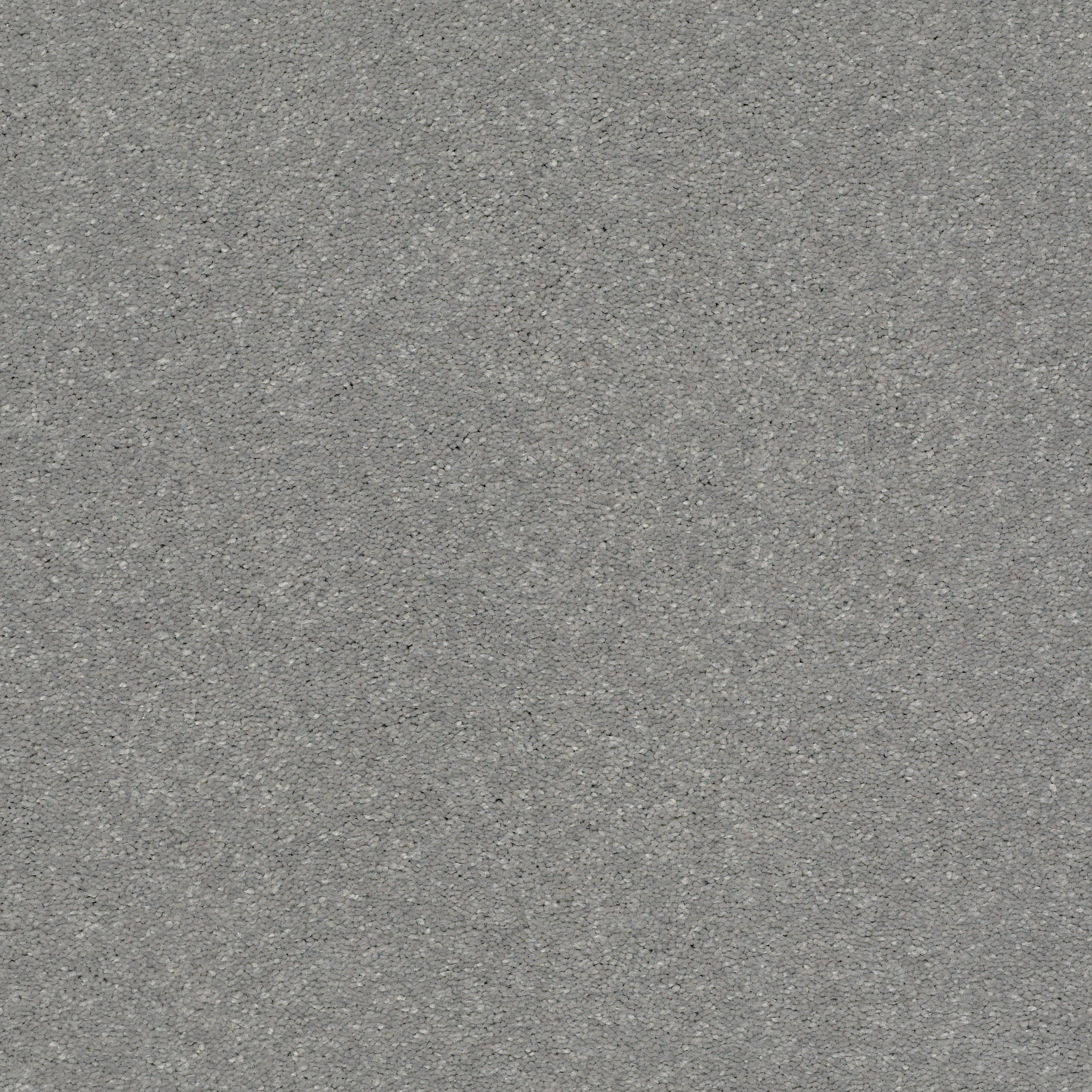 WELL GROUNDED II 15 DUSTY TRAIL MAIN