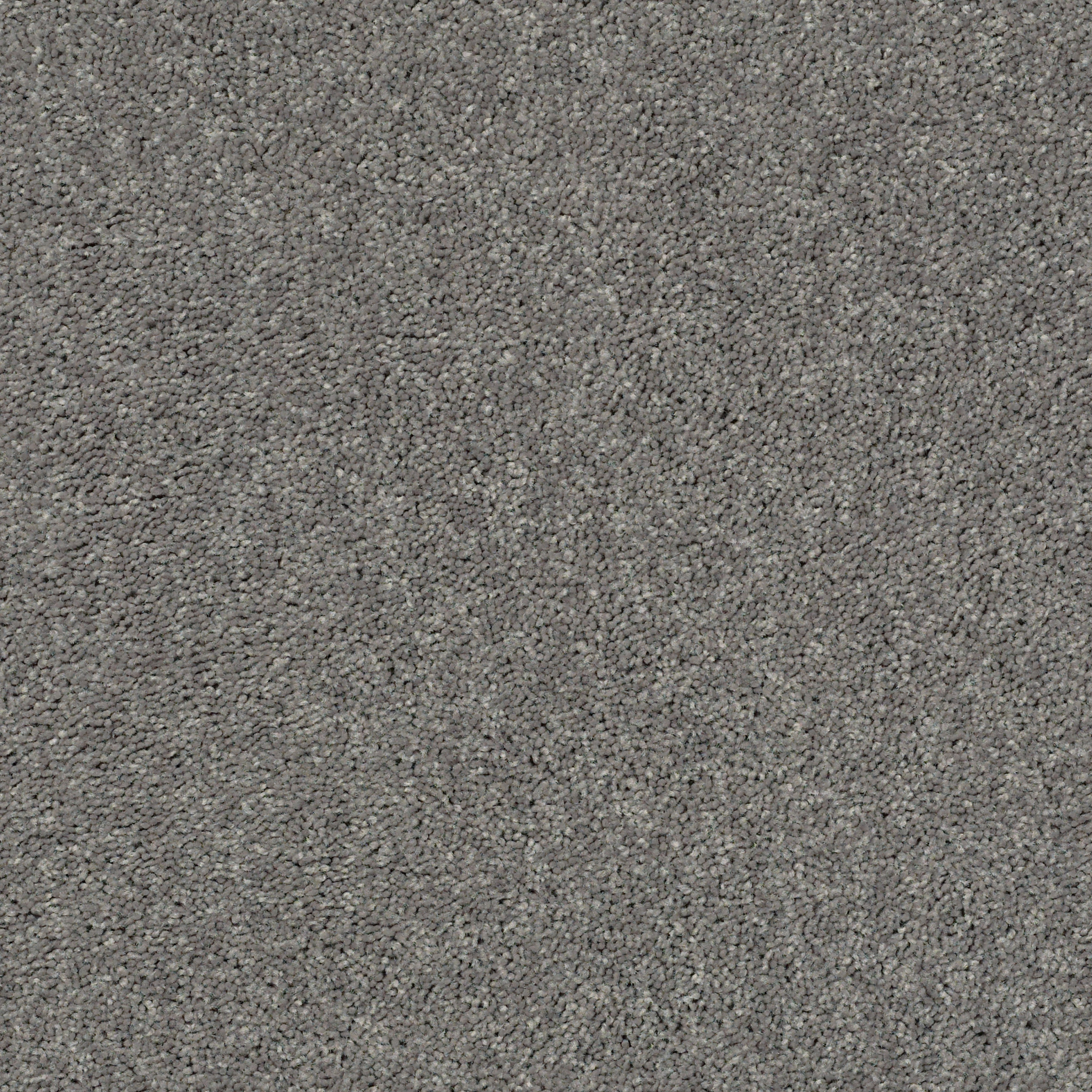 POINT GUARD 12' INK SPOT MAIN