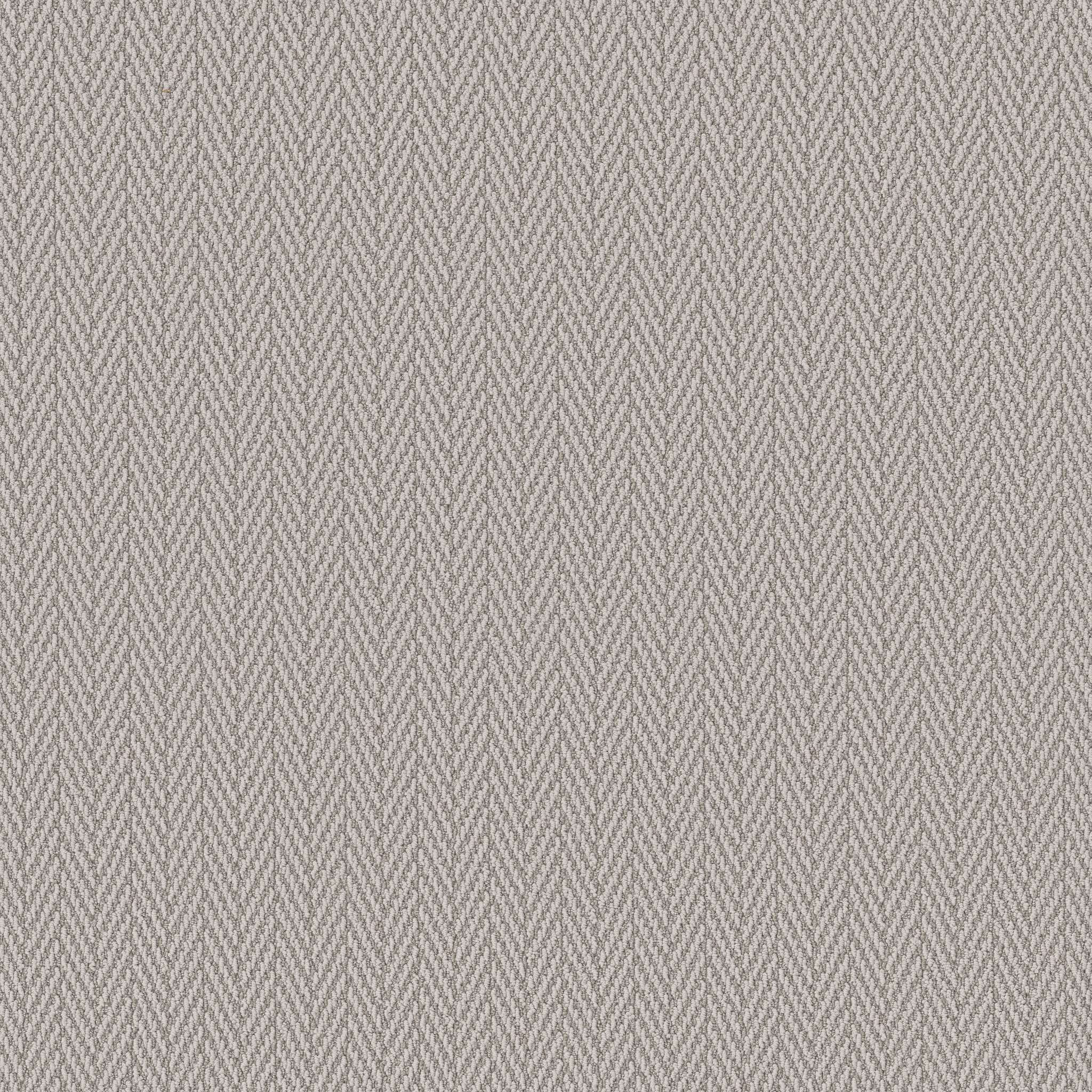 ALWAYS NATURAL FOGGY MAIN