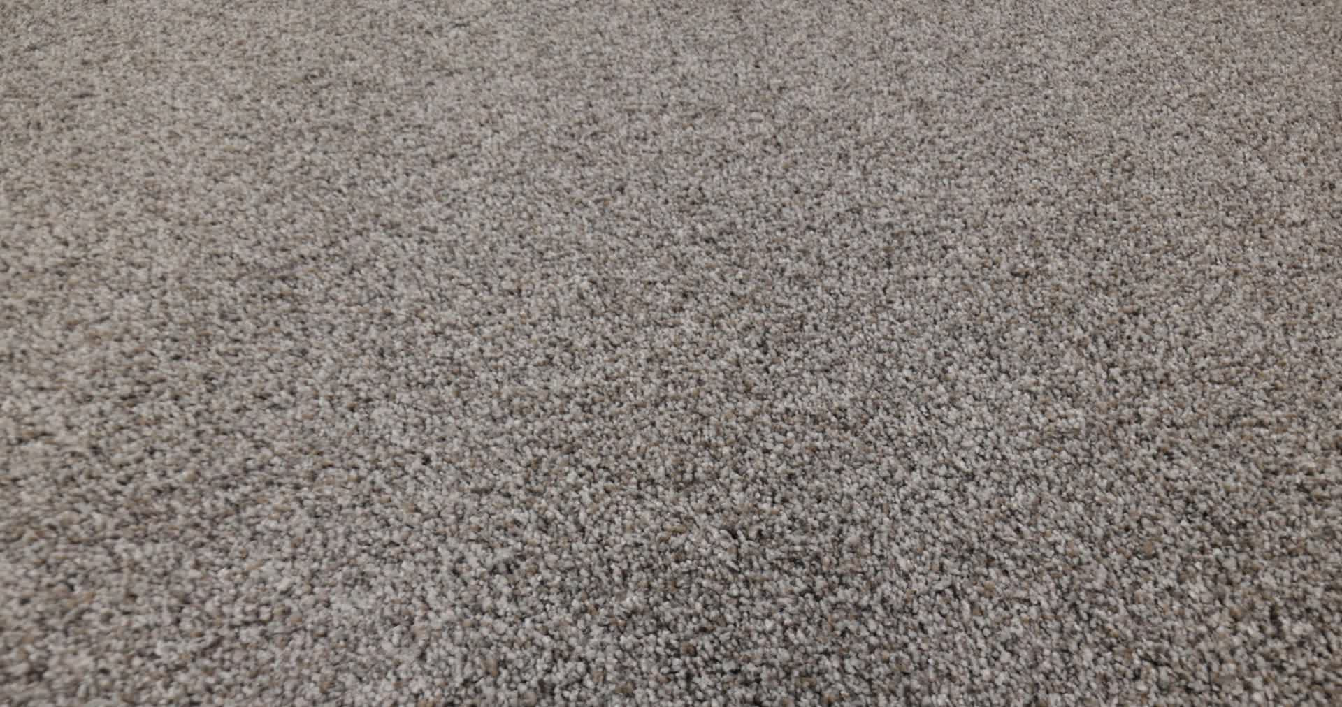 Exshaw (エクショー) ブランデー Fresh Take - in Butterfly White | Shaw Floors